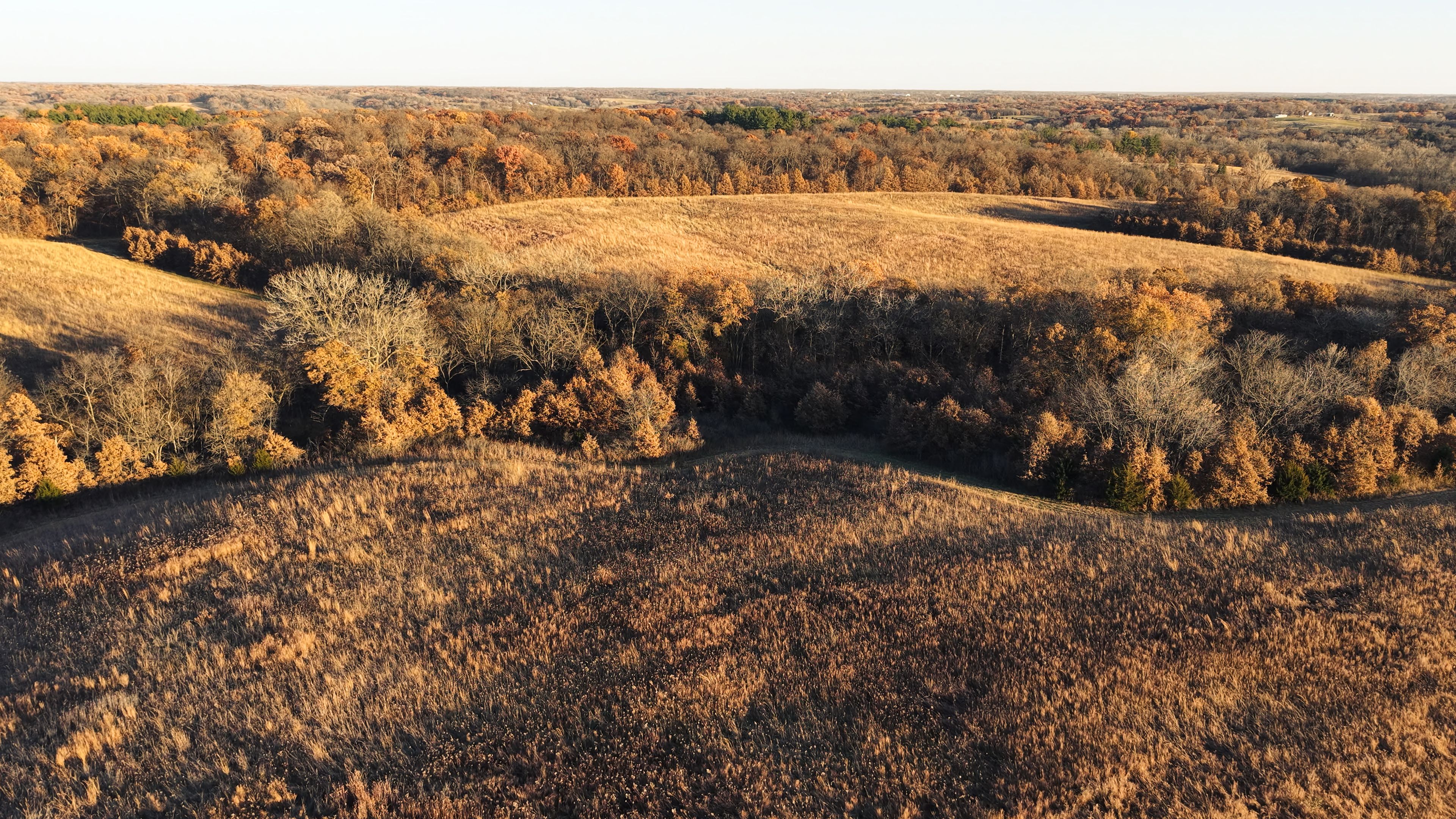 Listing Photo: DJI_20251113160349_0108_D-5