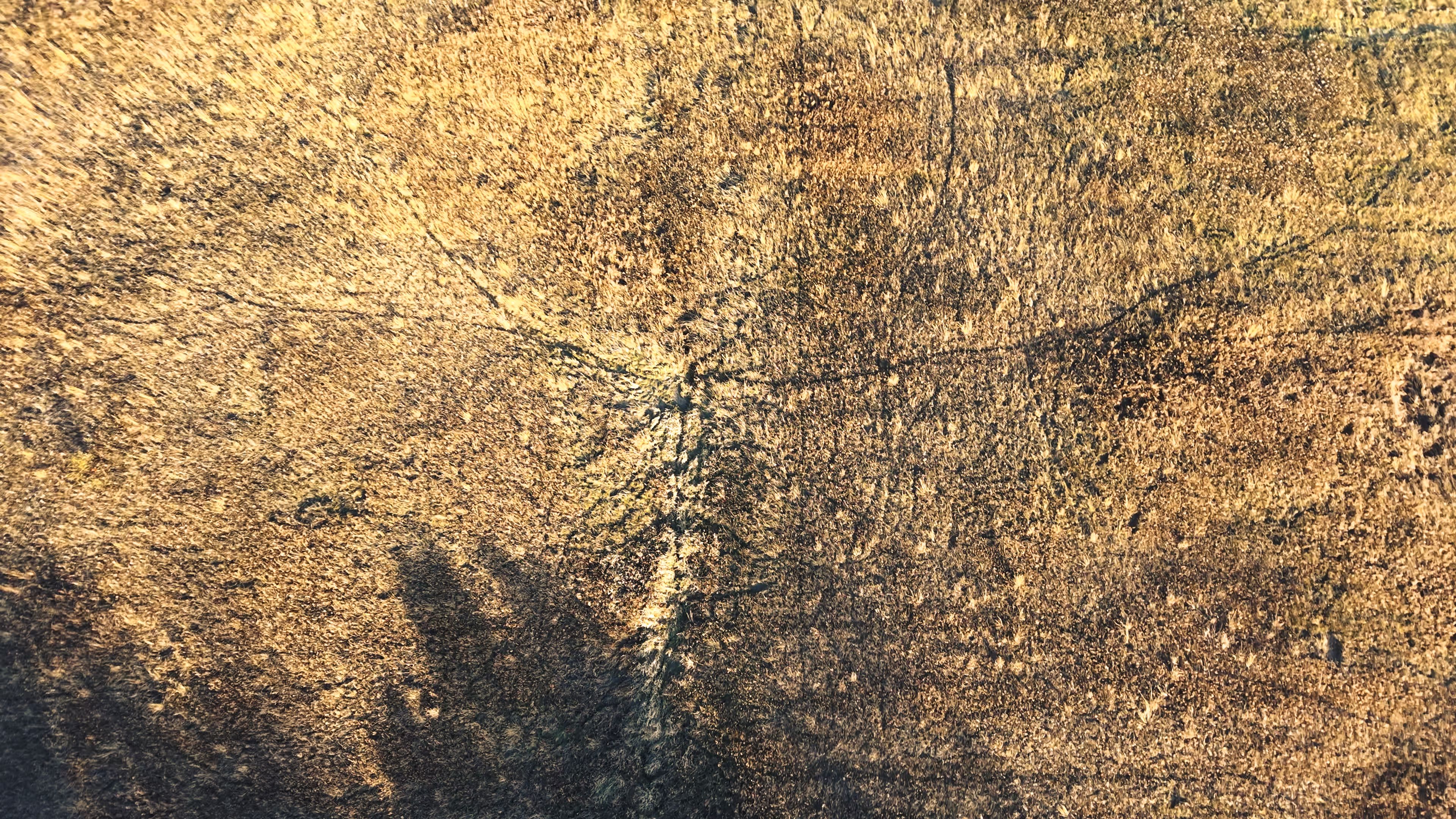 Listing Photo: DJI_20251113160349_0108_D-6