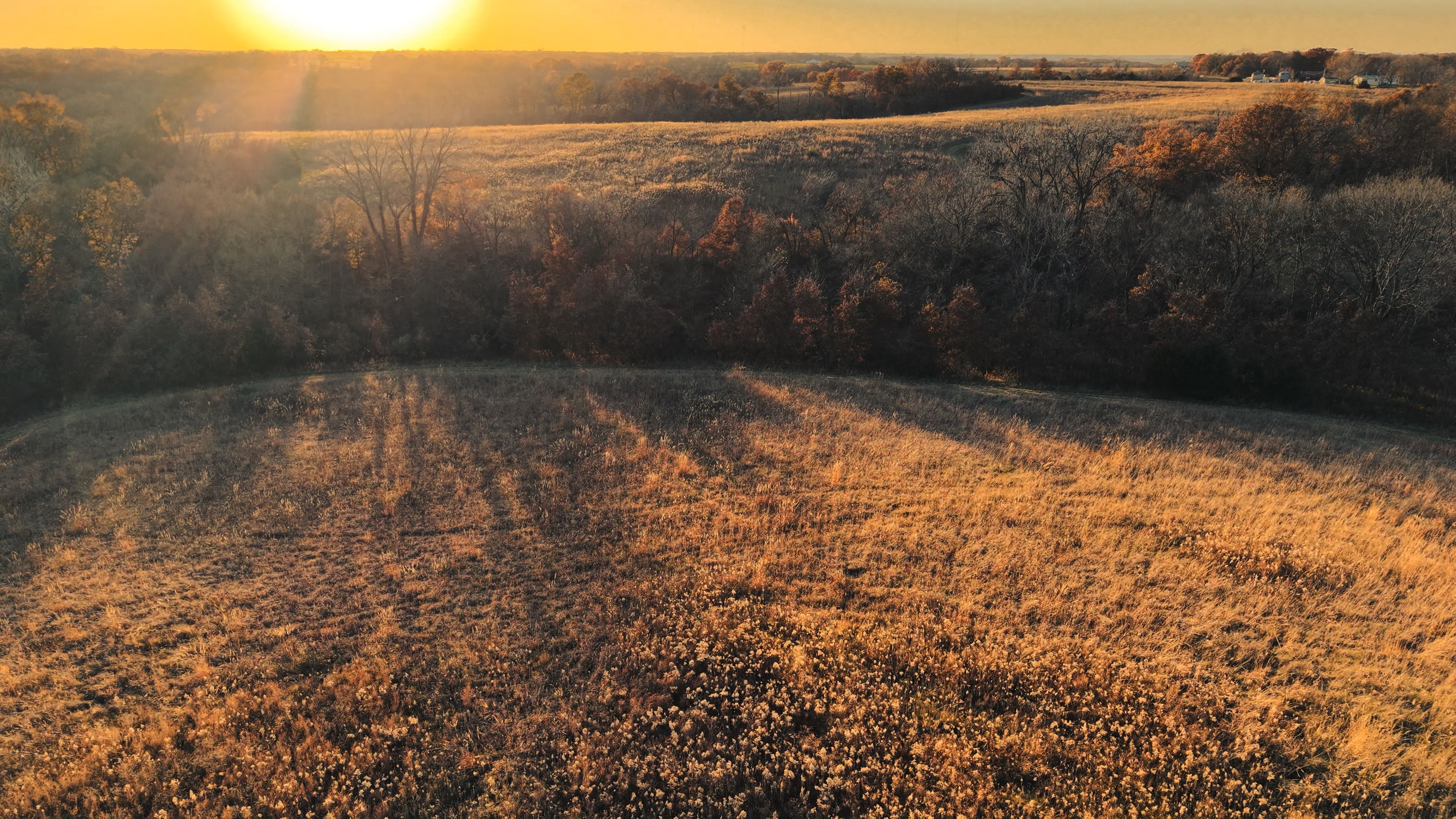 Listing Photo: DJI_20251113161009_0110_D-2