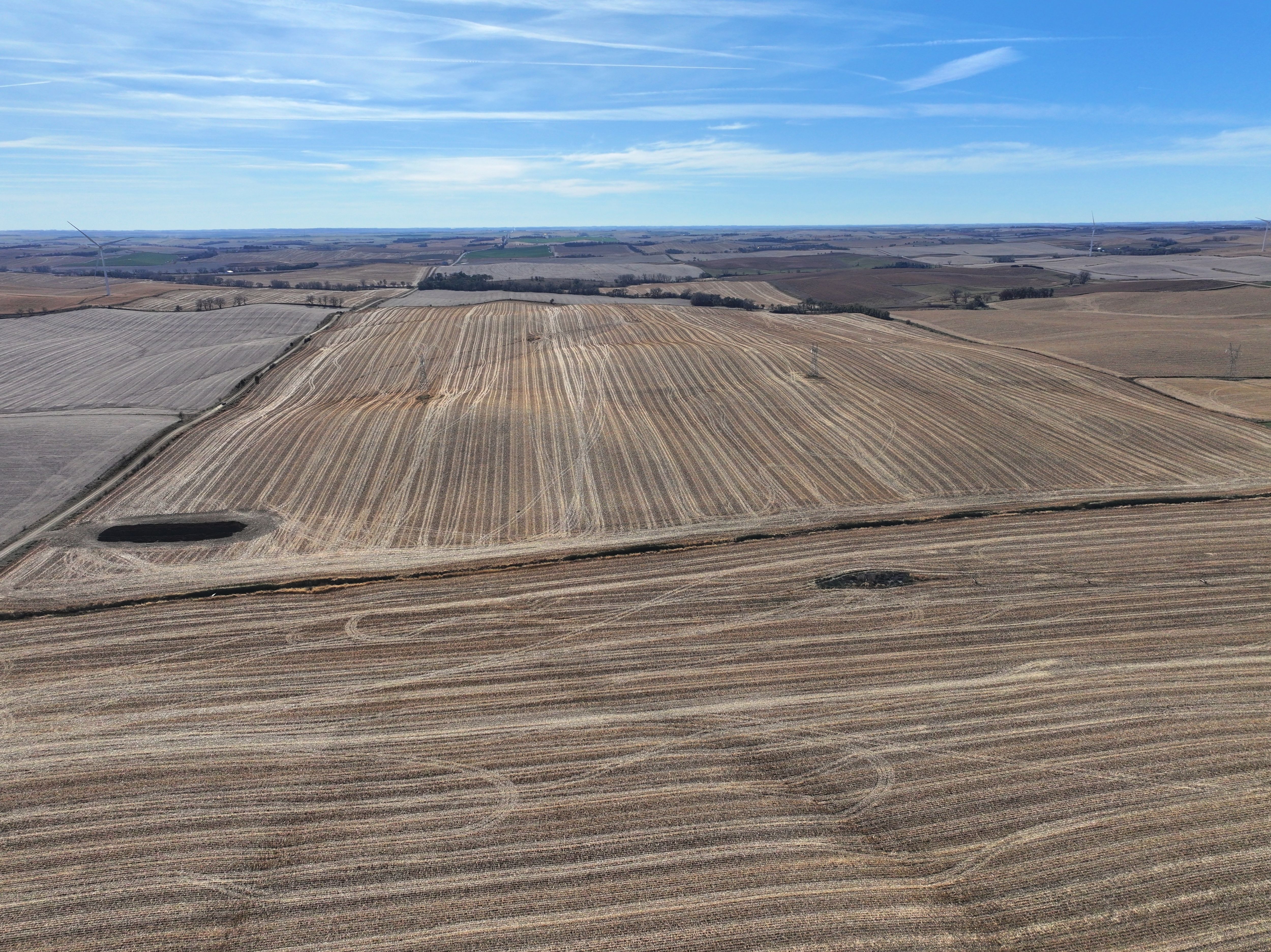 Listing Photo: DJI_20251108041043_0315_D-1