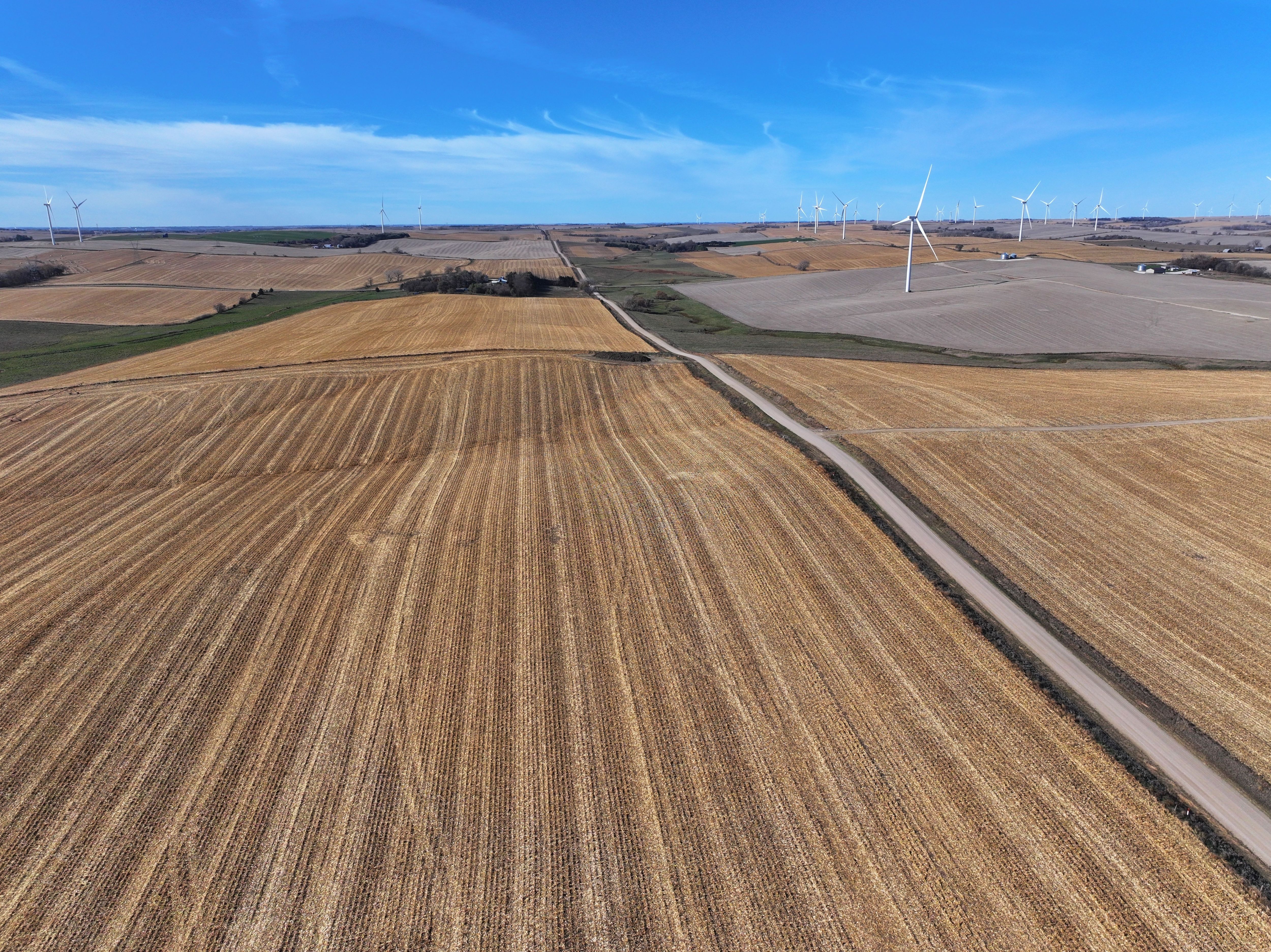 Listing Photo: DJI_20251108041052_0316_D-1