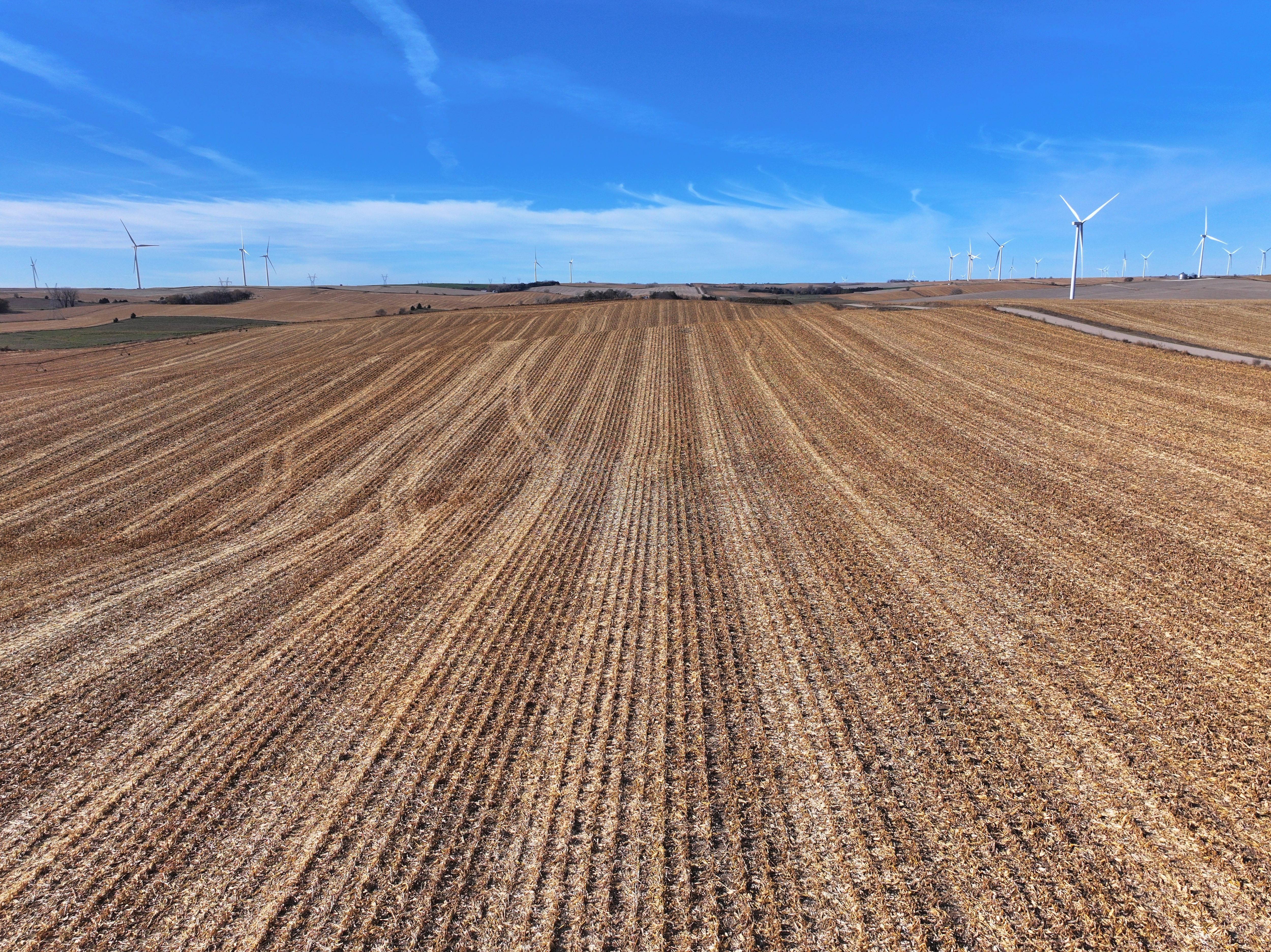 Listing Photo: DJI_20251108041118_0318_D-1