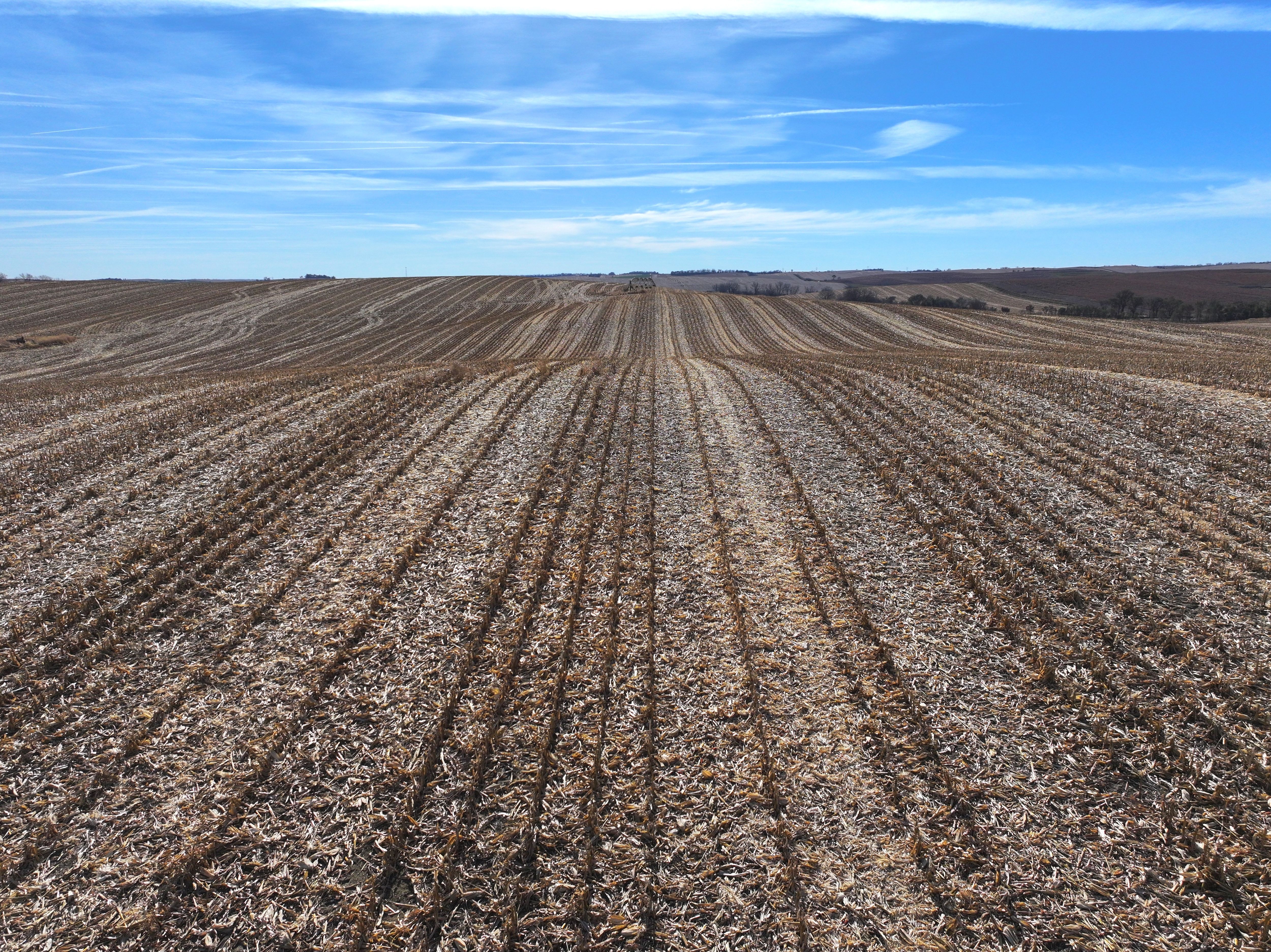 Listing Photo: DJI_20251108041850_0327_D-1