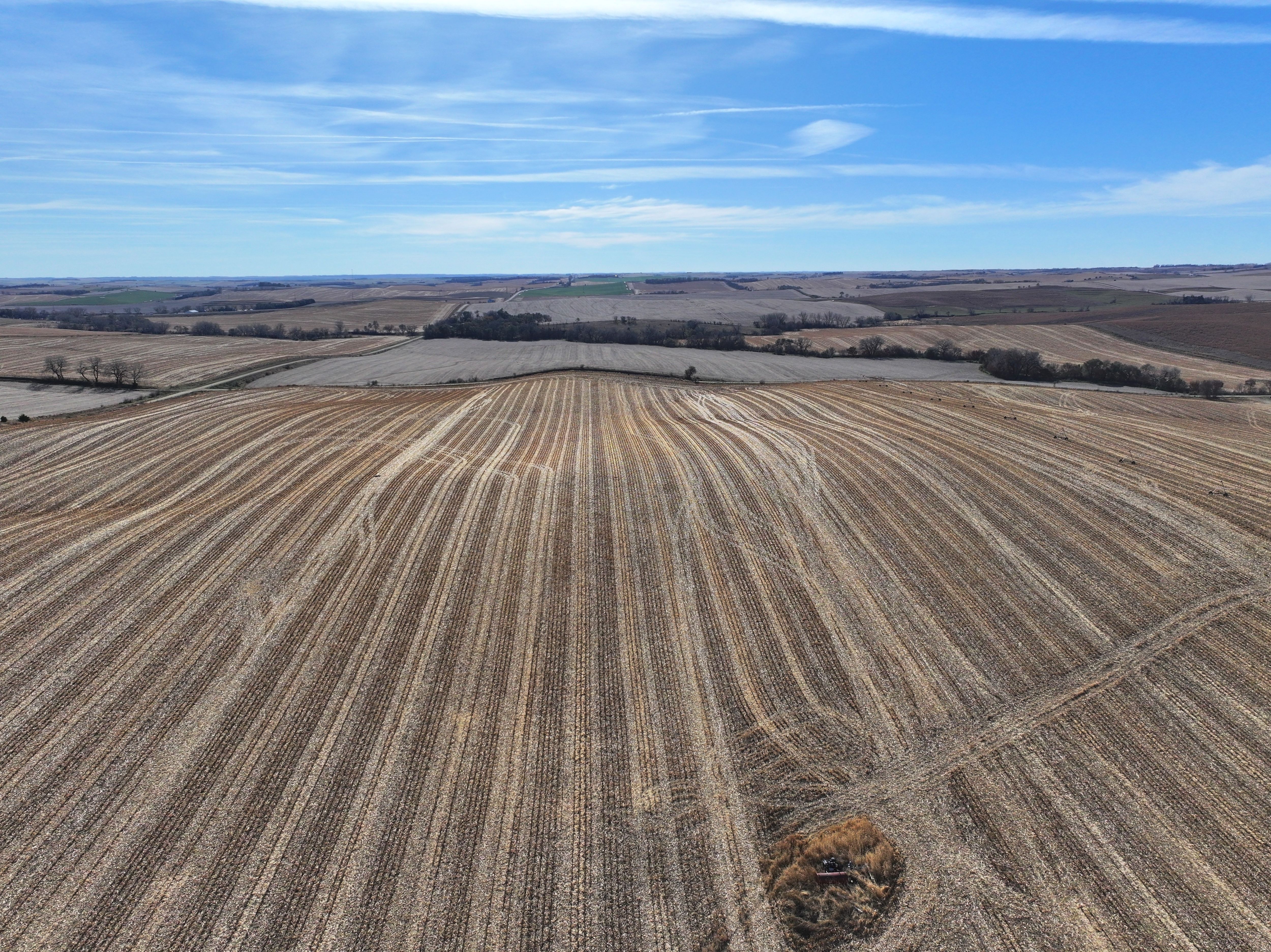 Listing Photo: DJI_20251108041929_0330_D-1