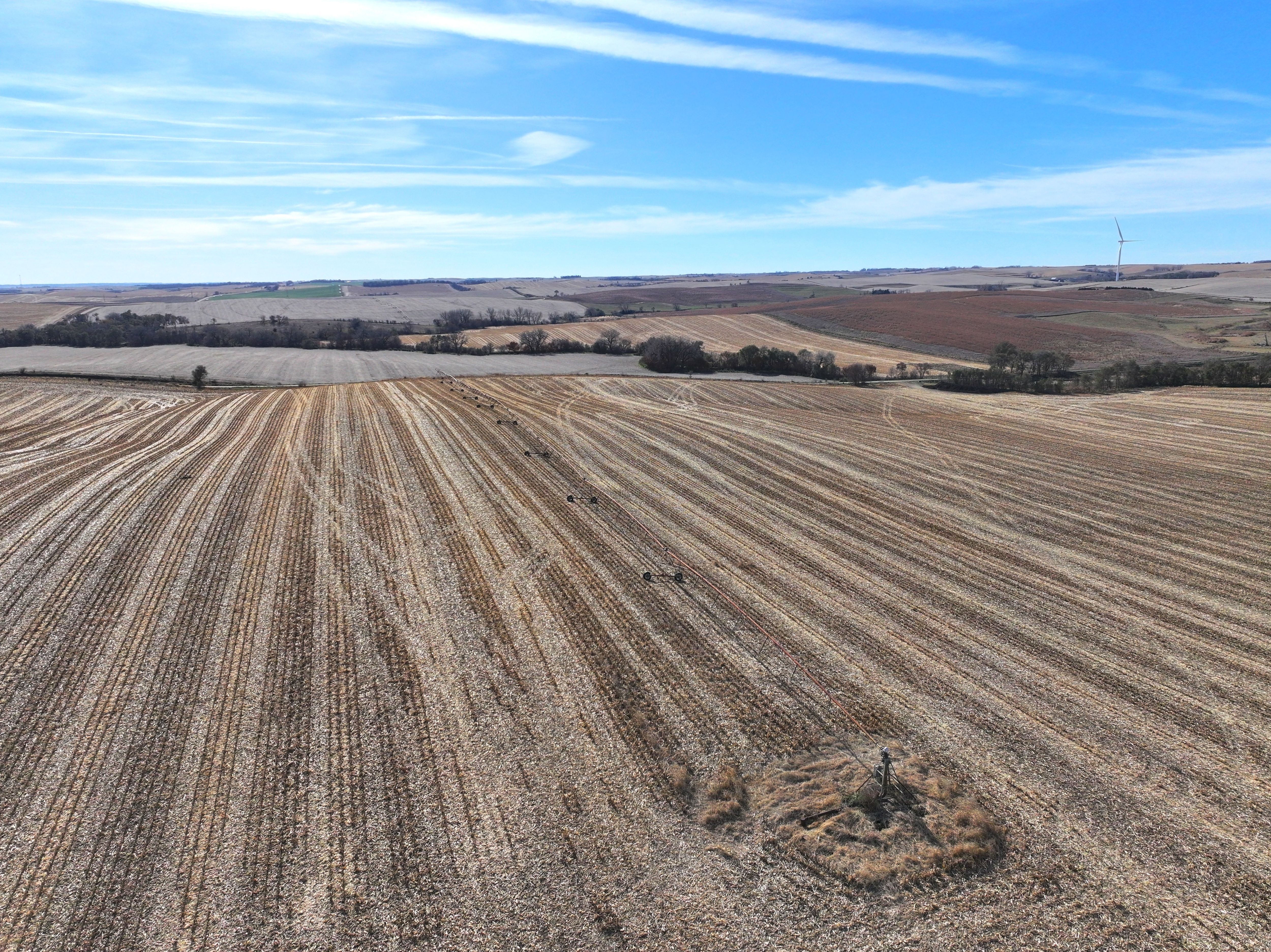 Listing Photo: DJI_20251108042039_0335_D-1