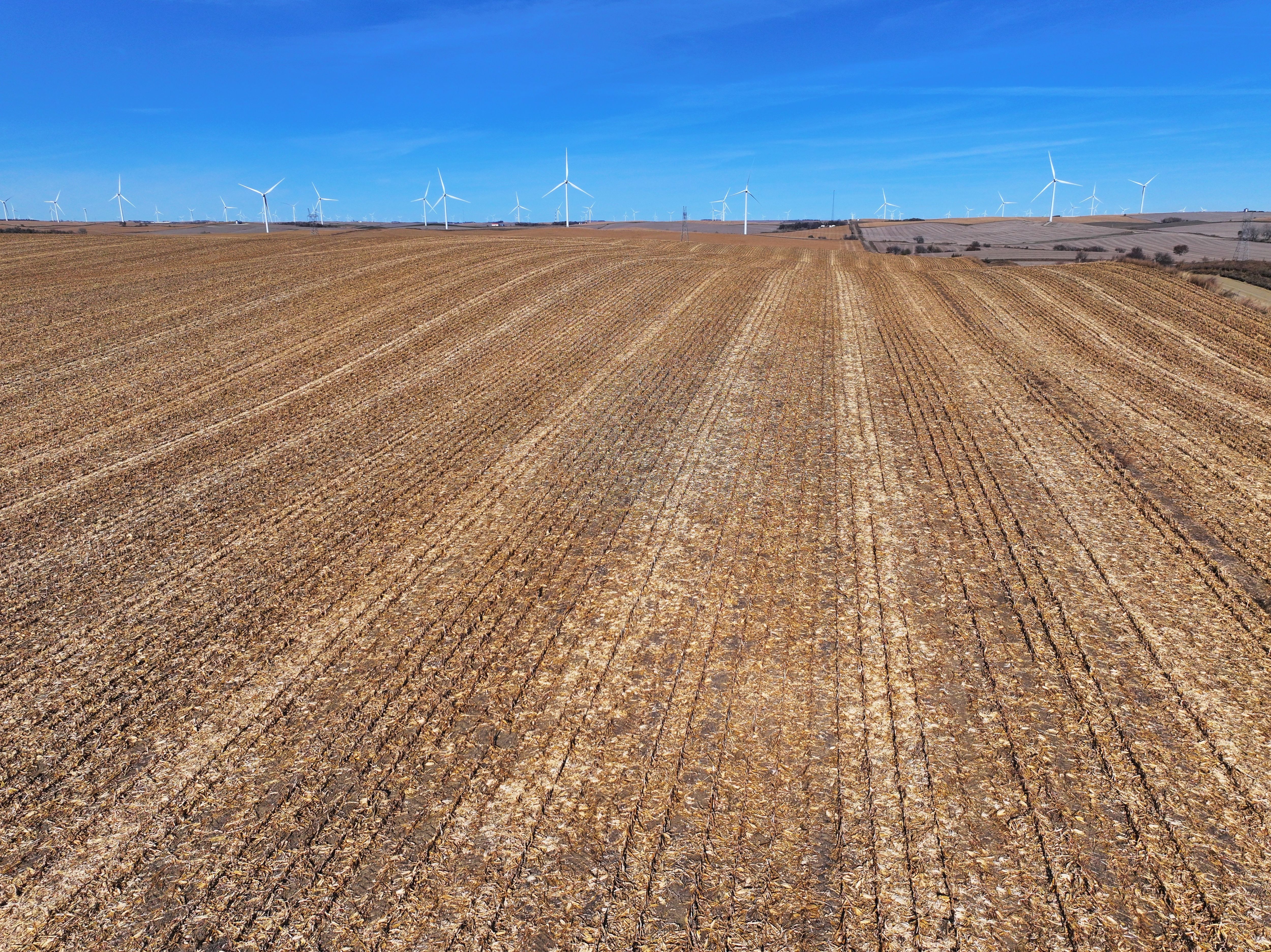 Listing Photo: DJI_20251108042427_0346_D-1