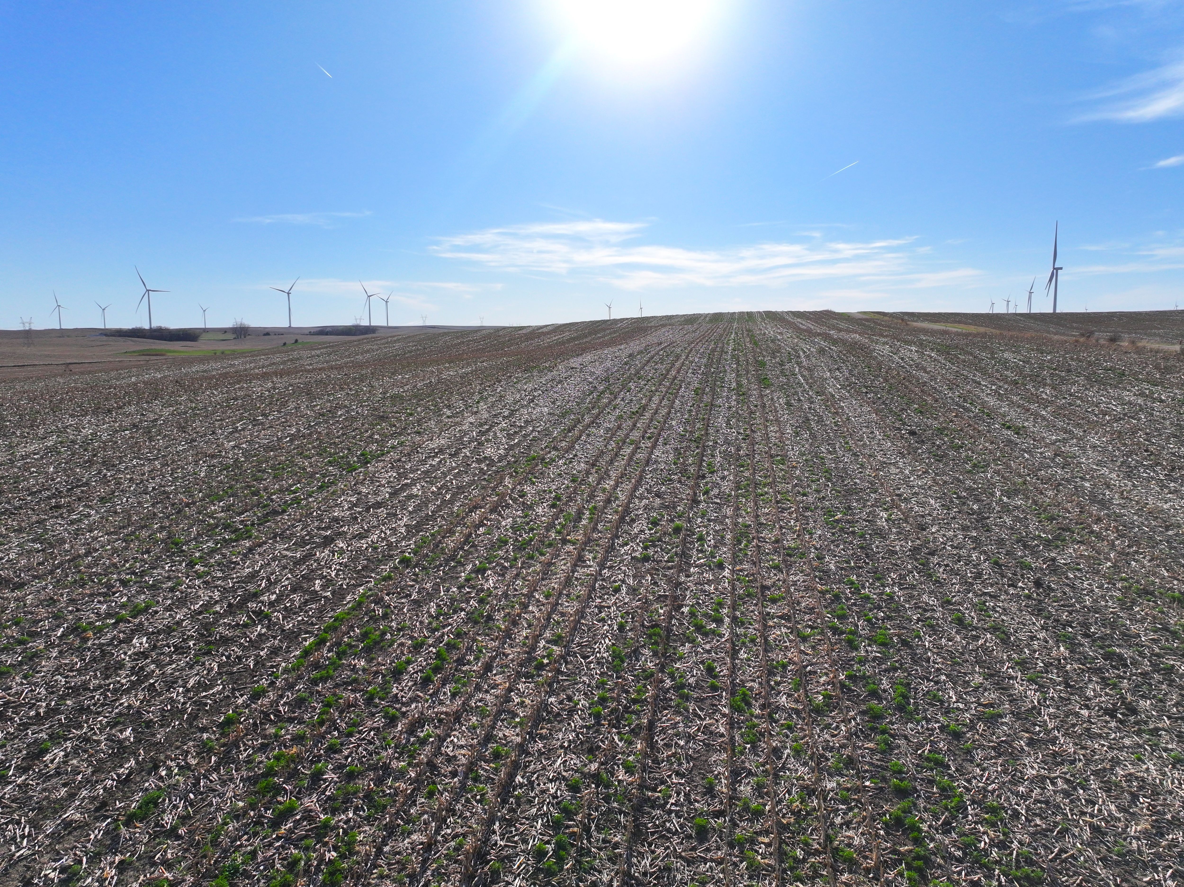 Listing Photo: DJI_20260416181154_0622_D-1