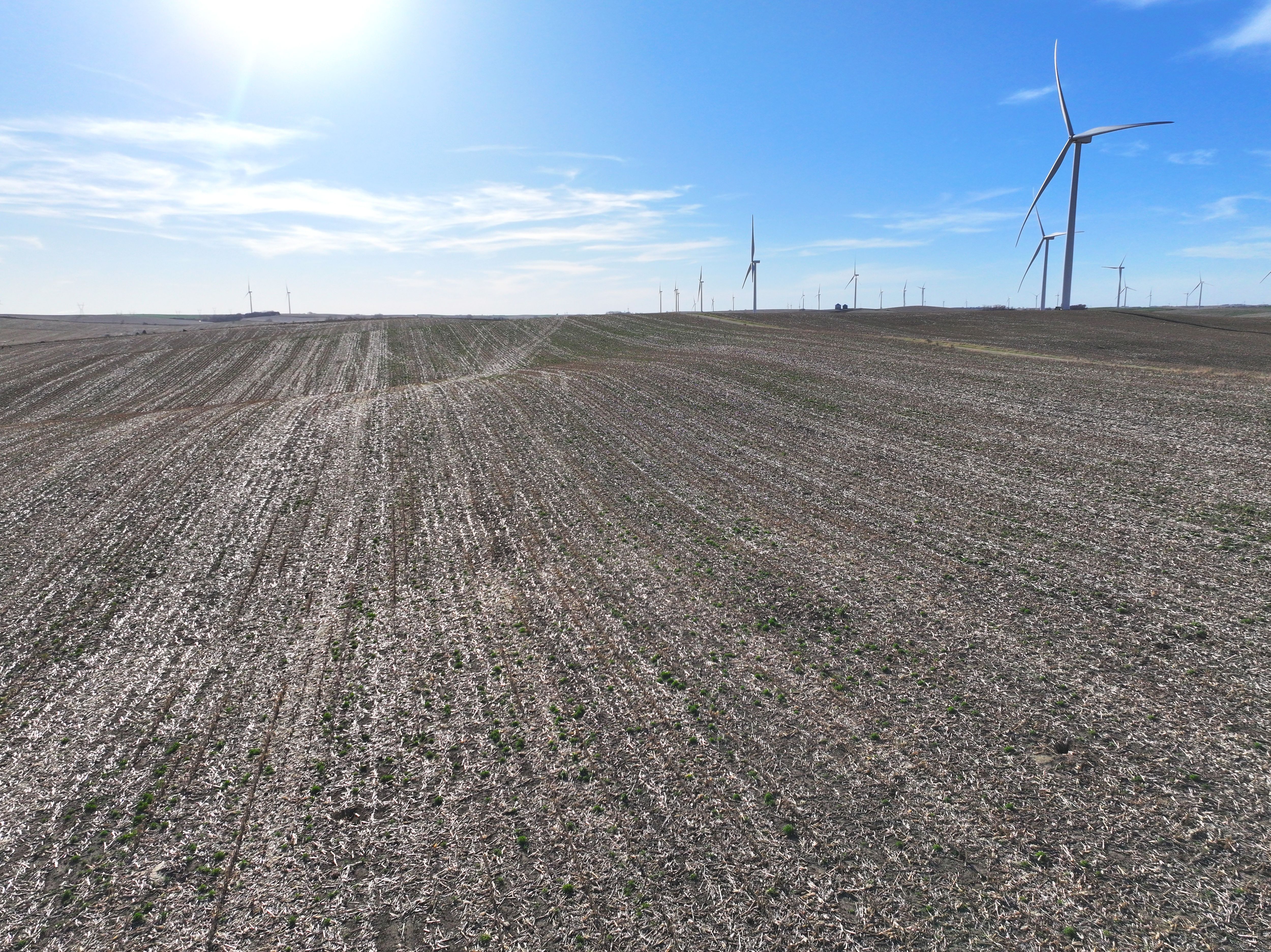 Listing Photo: DJI_20260416182503_0634_D-1