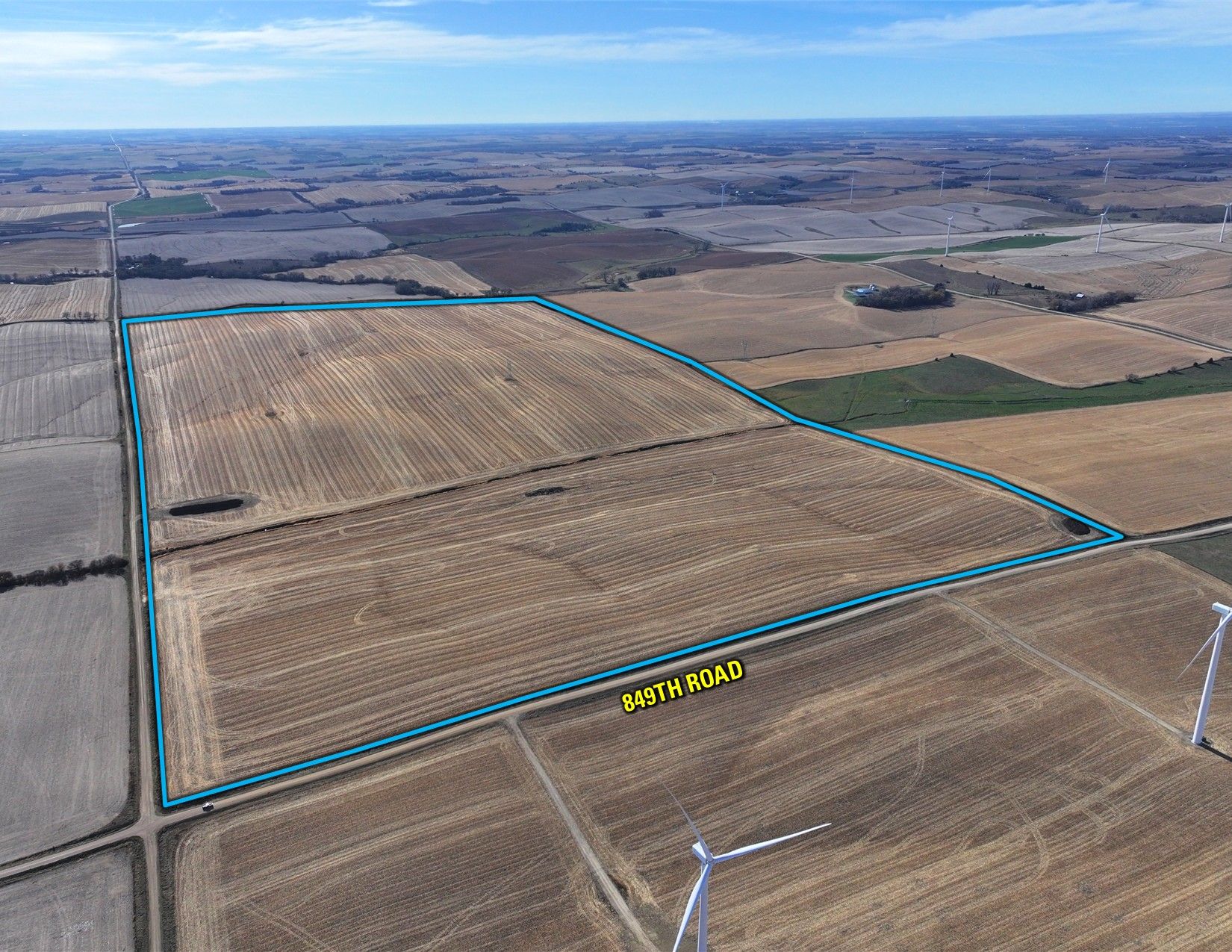 Listing Photo: Edit2