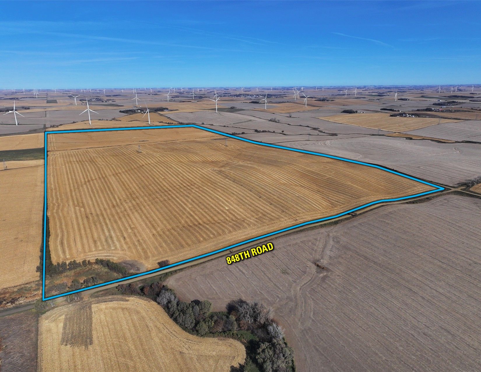 Listing Photo: Edit3