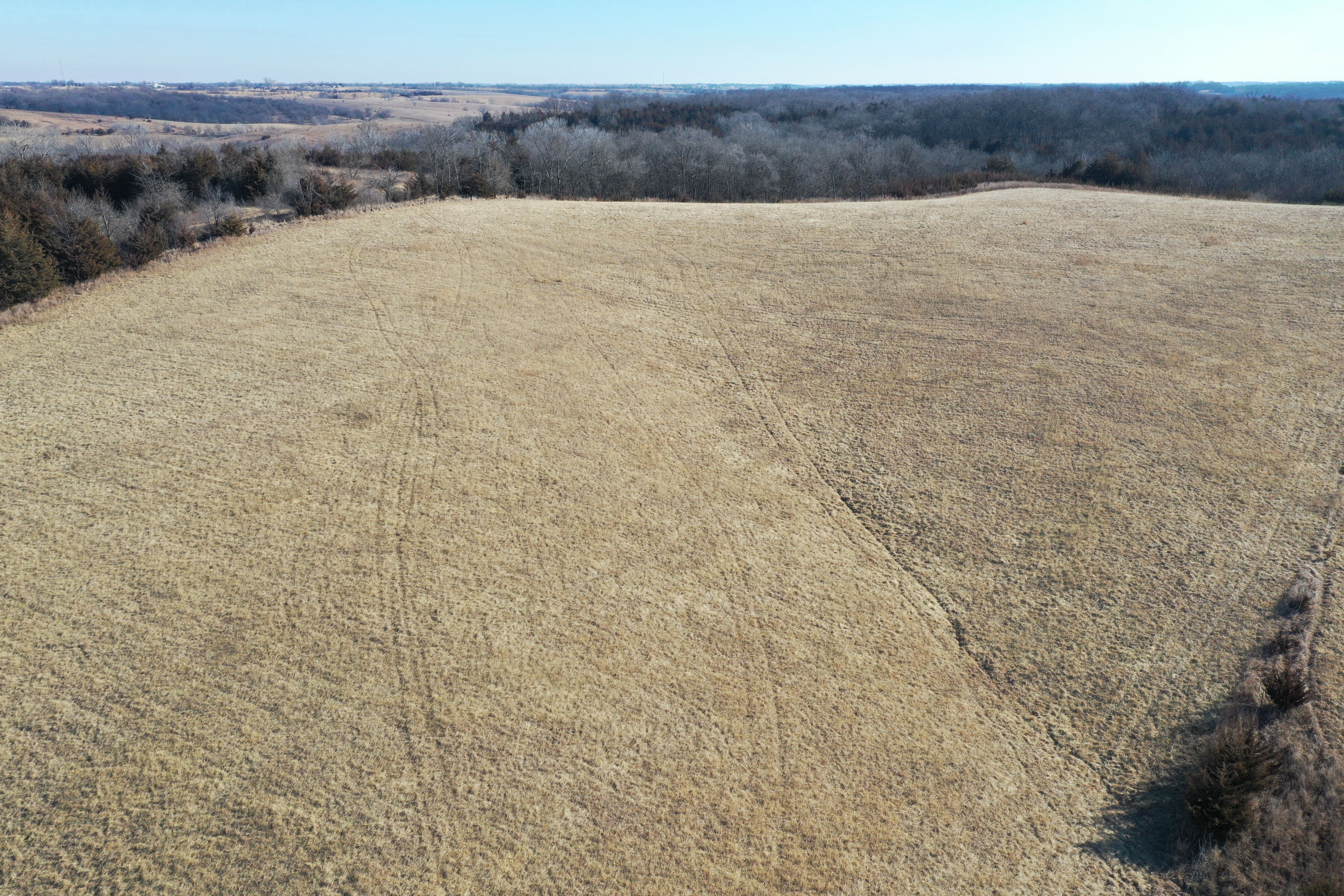 Listing Photo: DJI_0910