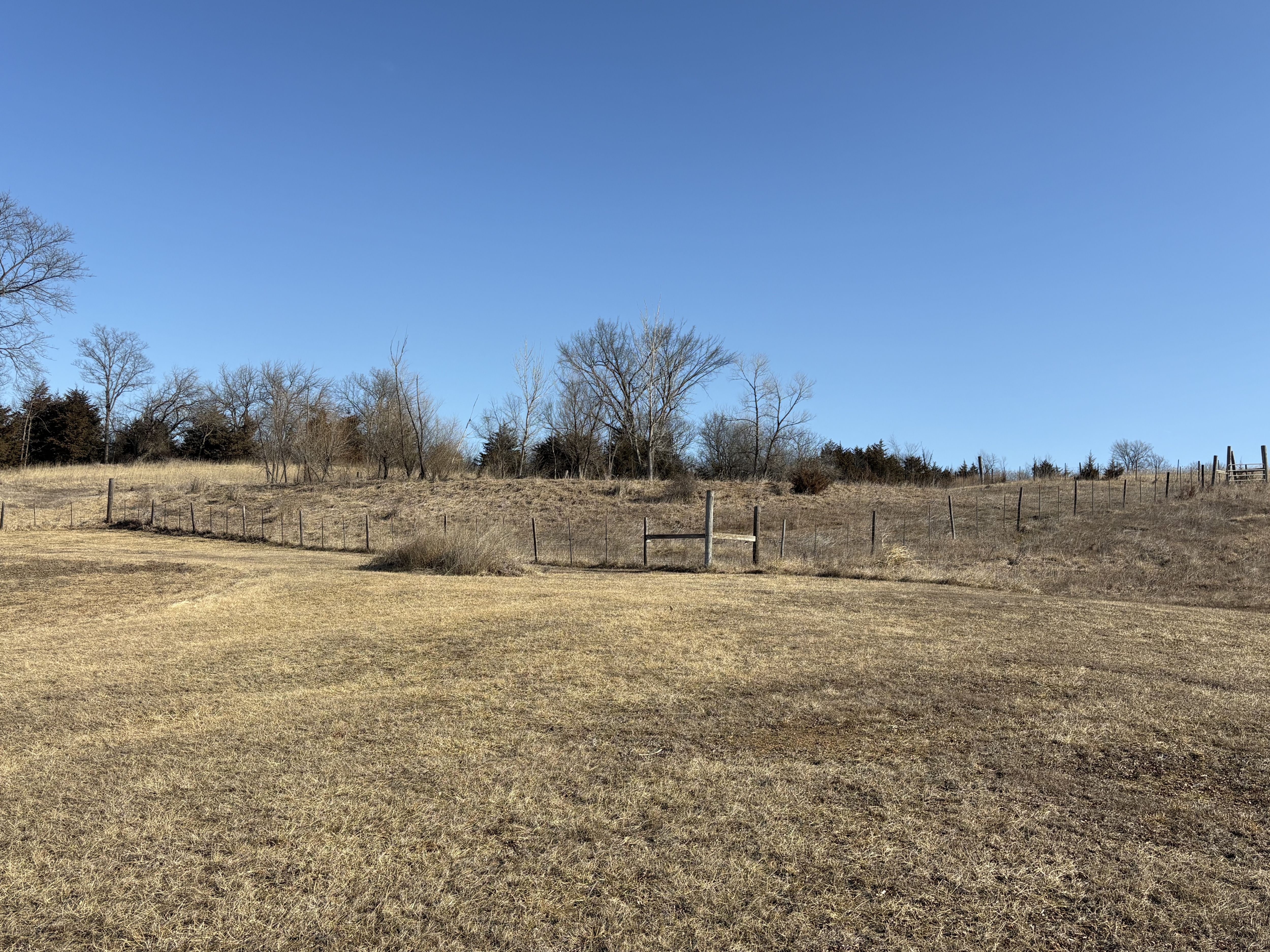 Listing Photo: IMG_8458