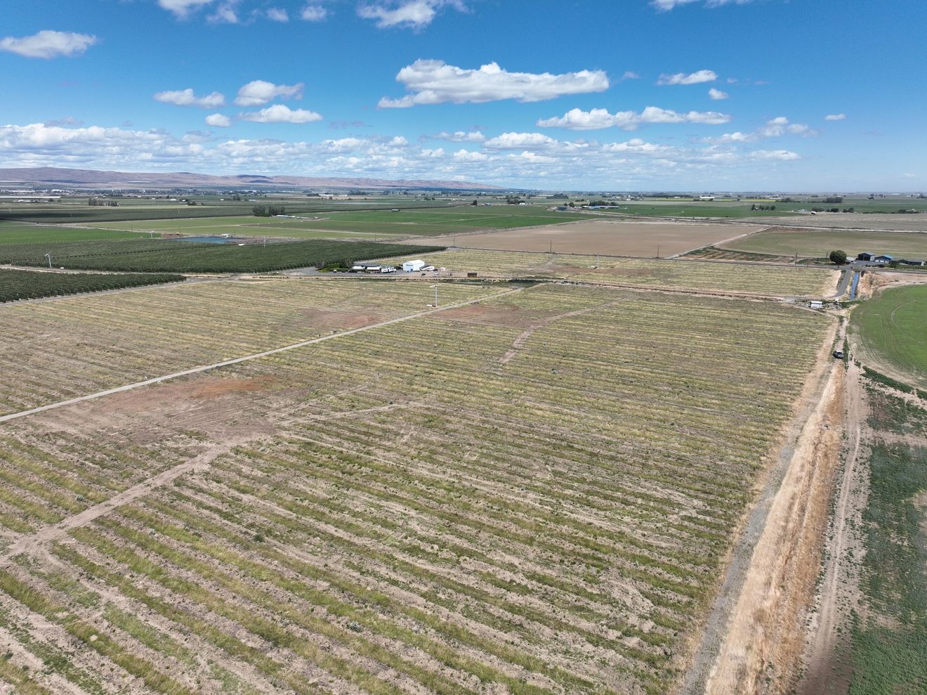 Listing Photo: Grant-County-Washington-Irrigated-Farm-Ground-69-Acres-3