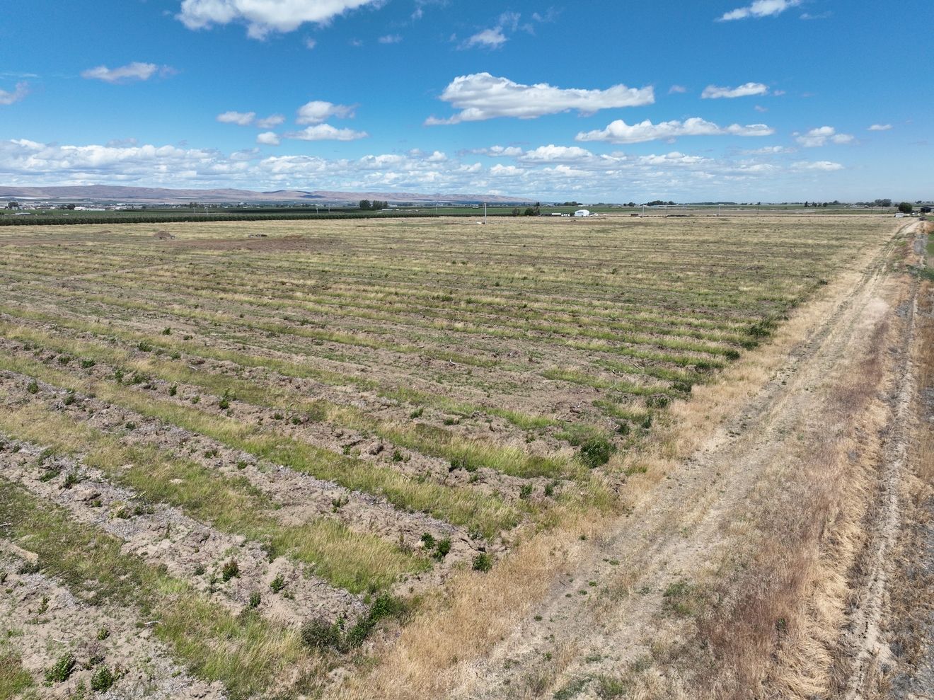 Listing Photo: Grant-County-Washington-Irrigated-Farm-Ground-69-Acres-4