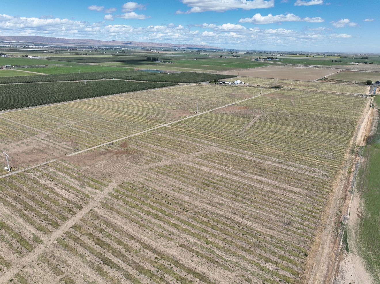 Listing Photo: Grant-County-Washington-Irrigated-Farm-Ground-69-Acres-5