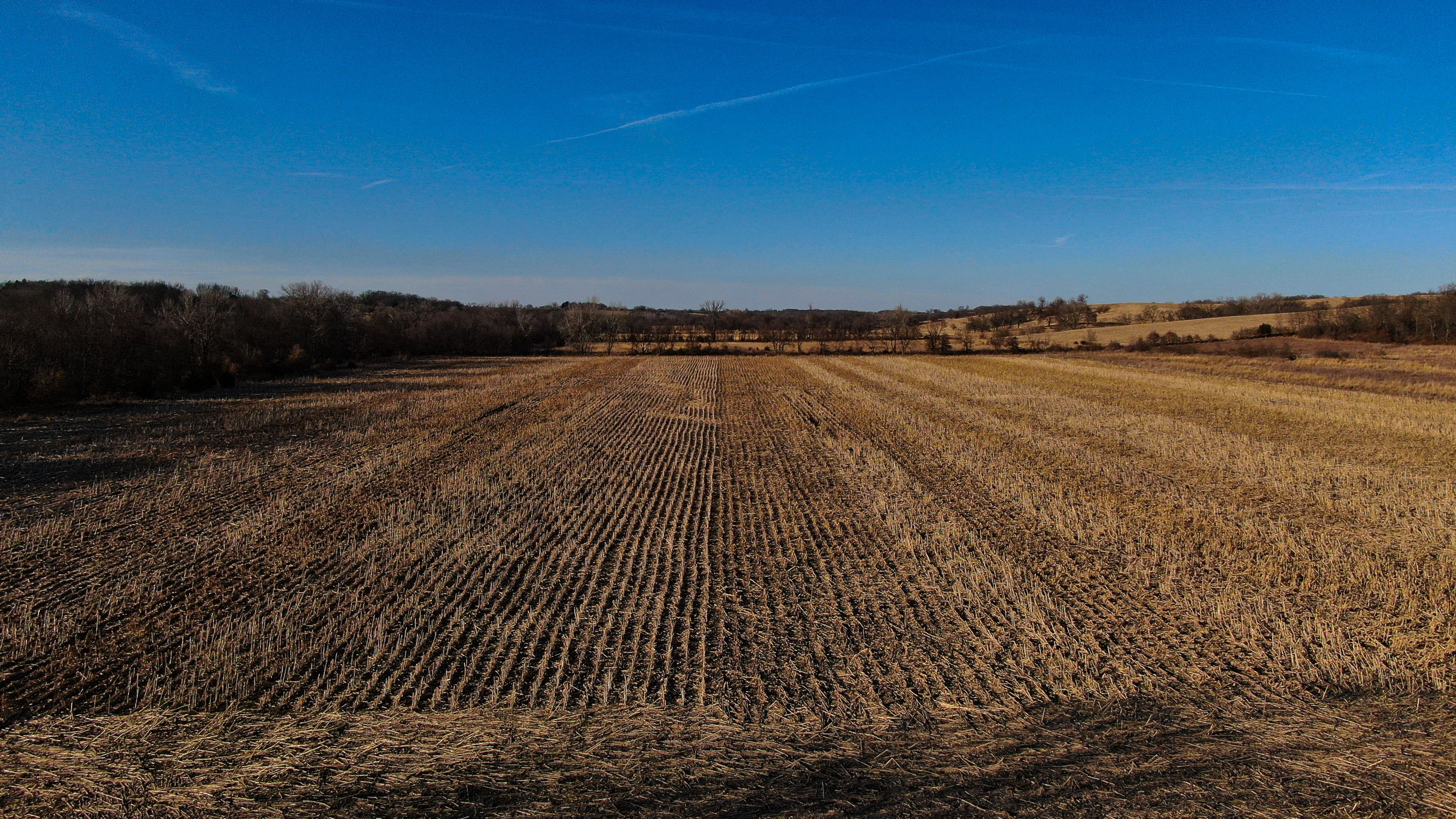 Listing Photo: Legacy_Landscape_Decatur_County_Iowa_Peoples_Company-2