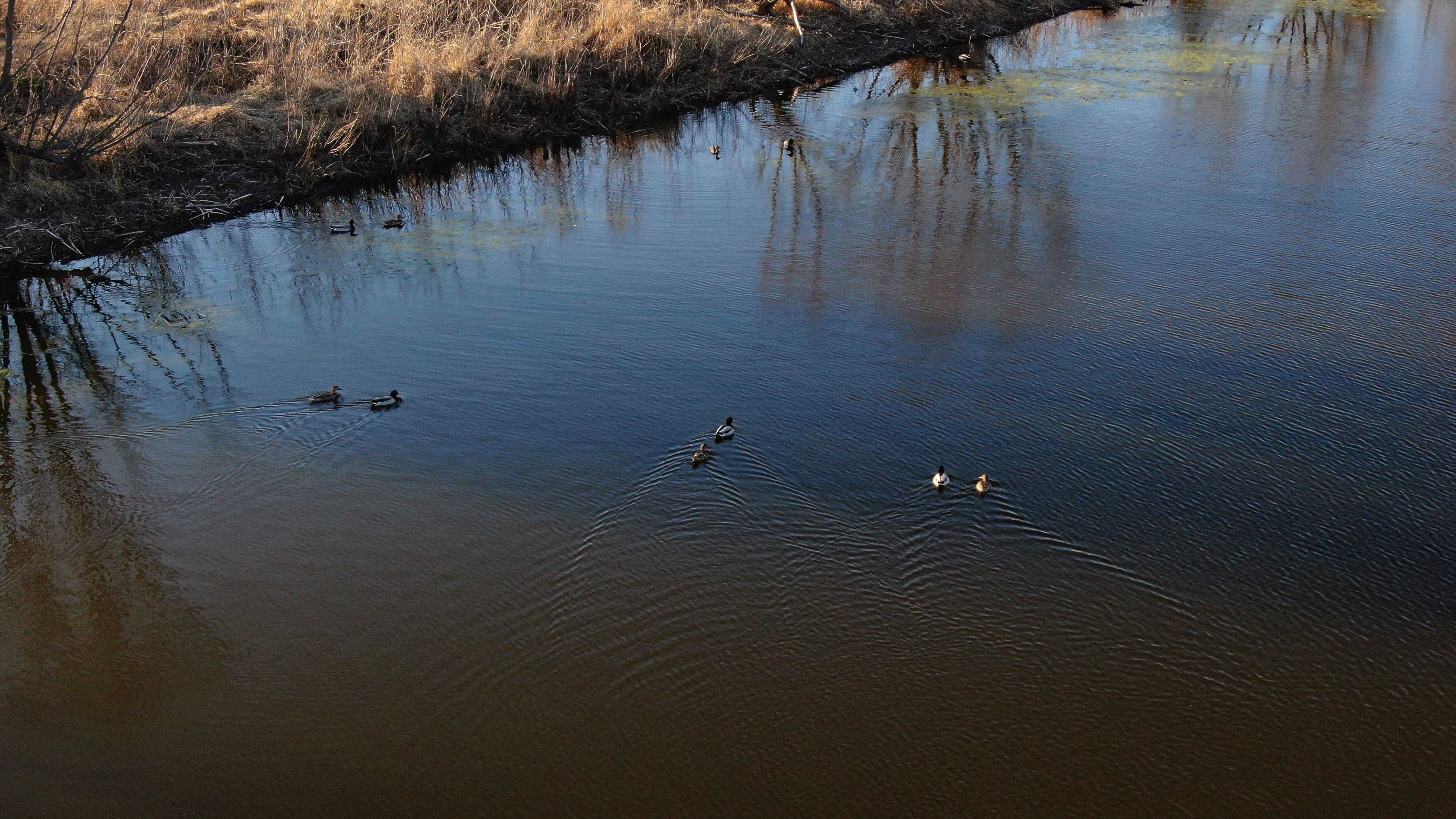 Listing Photo: Legacy_Landscape_Decatur_County_Iowa_Peoples_Company-24