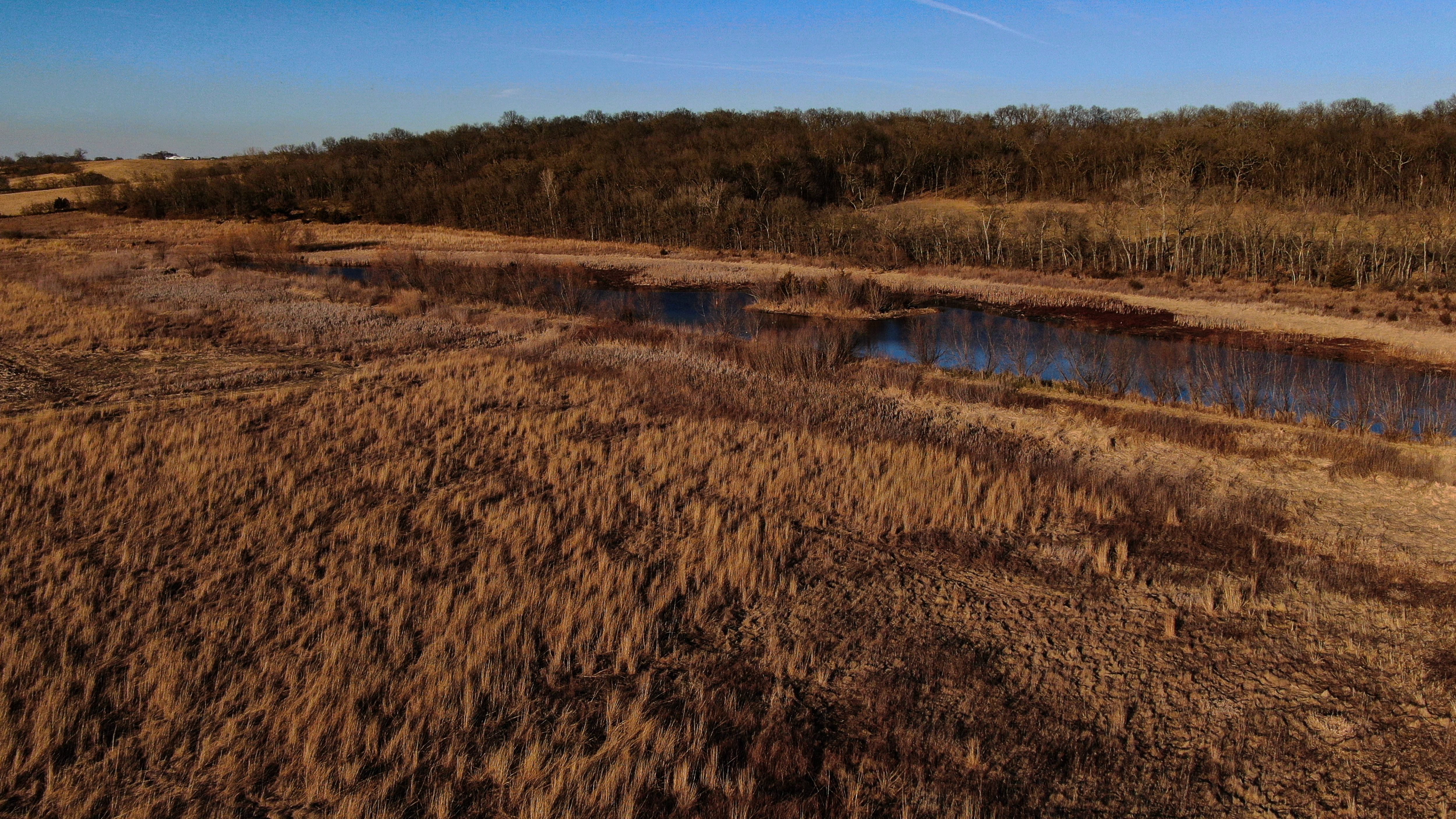 Listing Photo: Legacy_Landscape_Decatur_County_Iowa_Peoples_Company-28