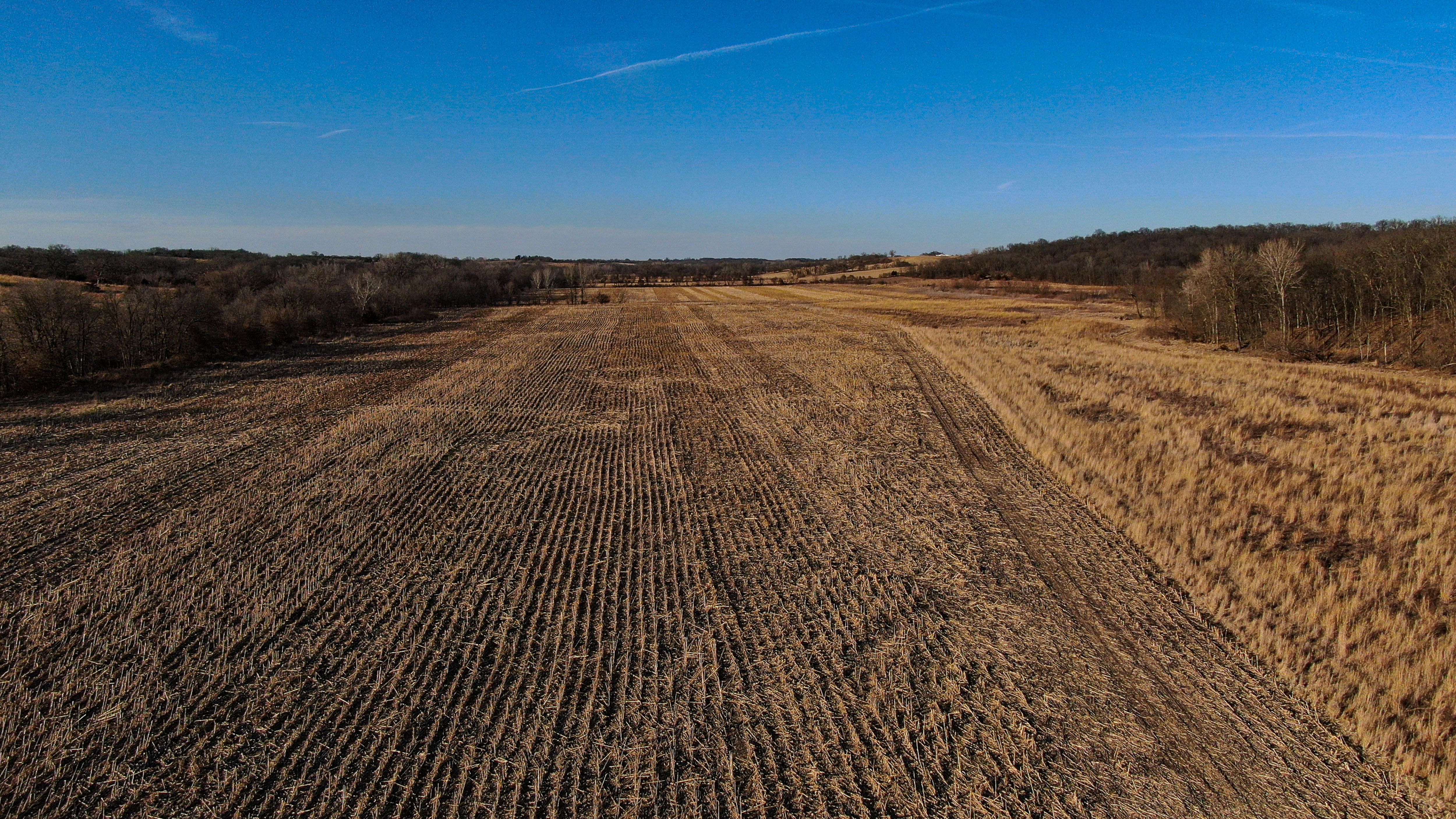 Listing Photo: Legacy_Landscape_Decatur_County_Iowa_Peoples_Company-6