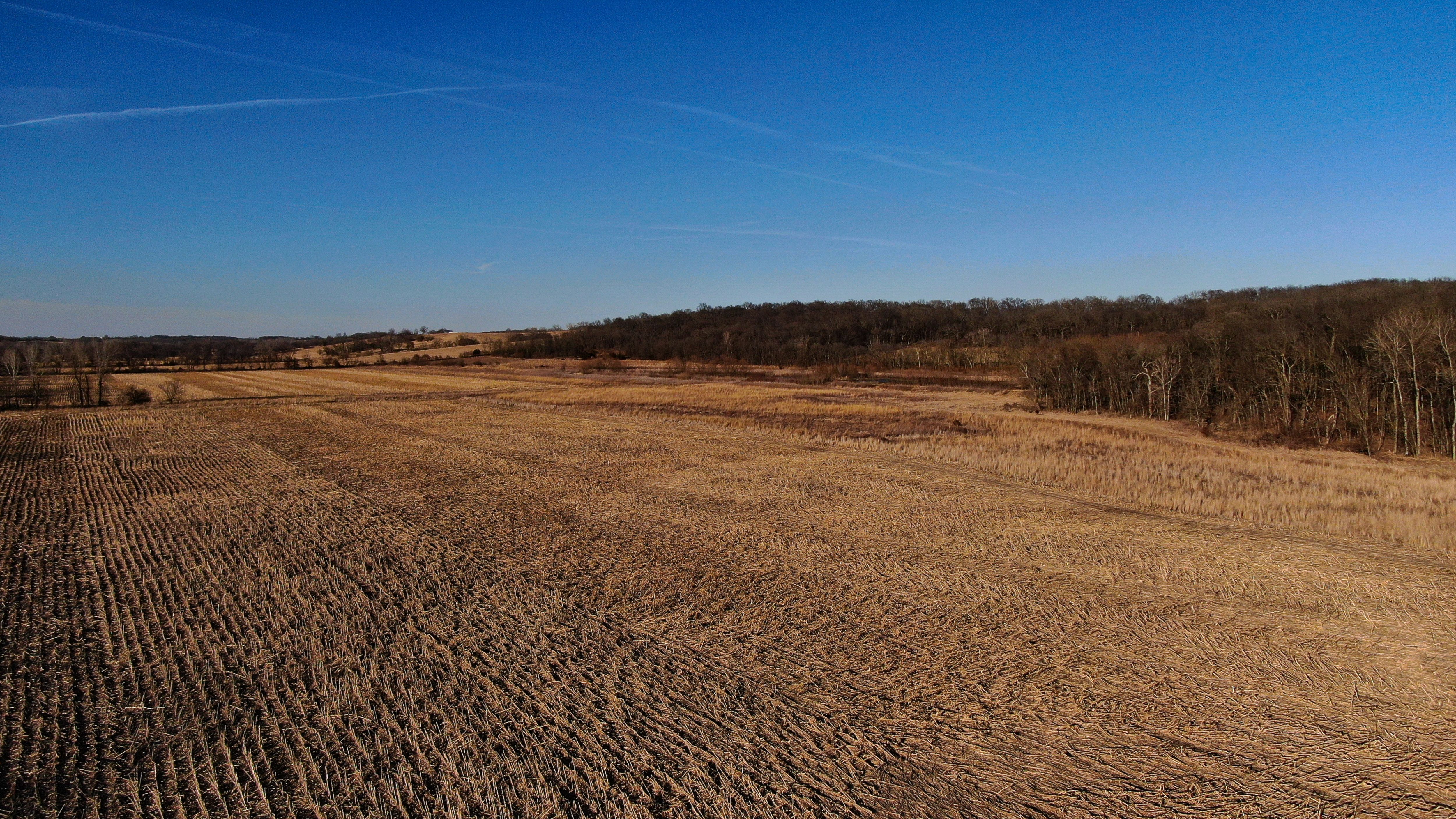 Listing Photo: Legacy_Landscape_Decatur_County_Iowa_Peoples_Company-7