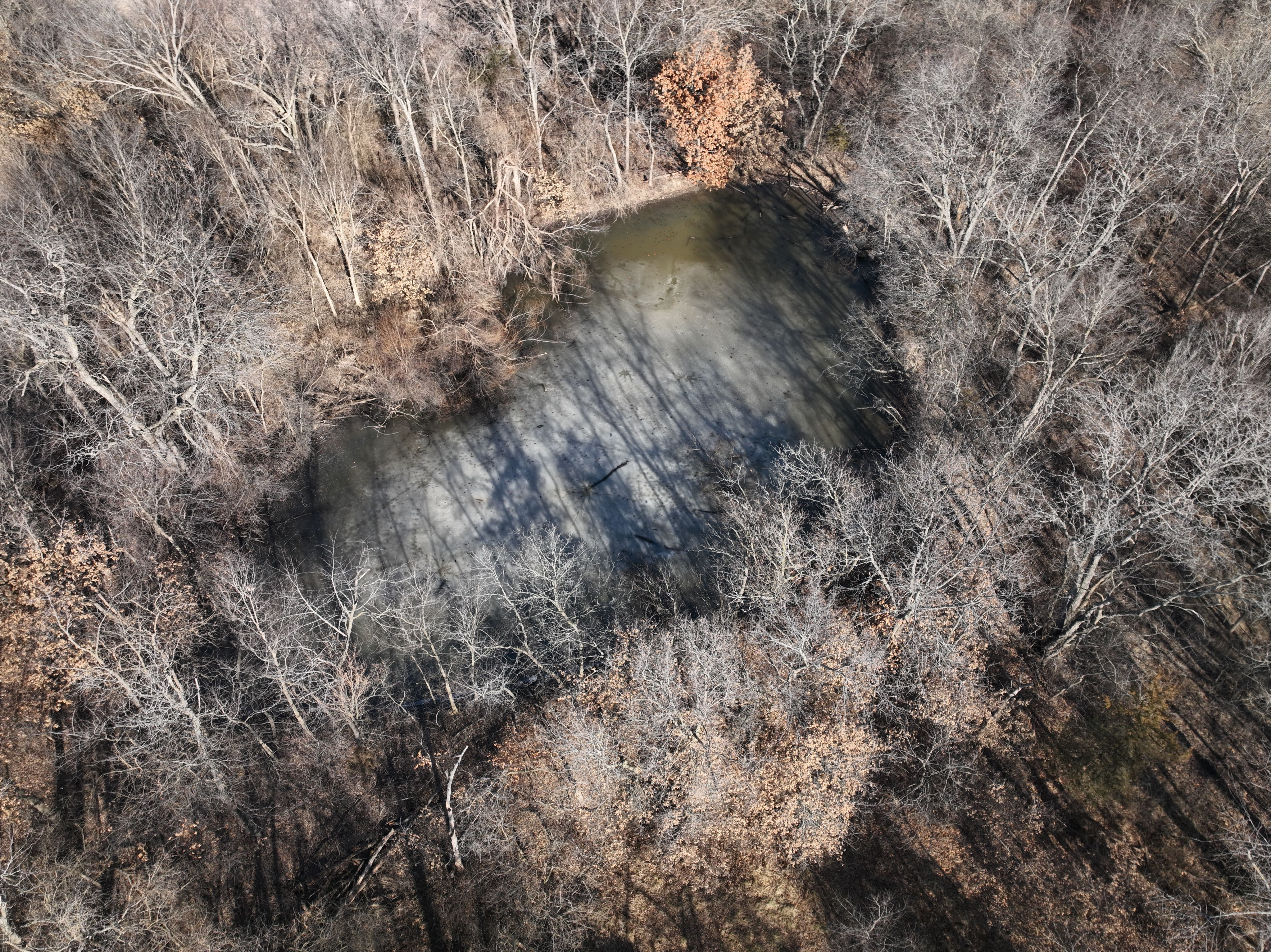 Listing Photo: DJI_0735