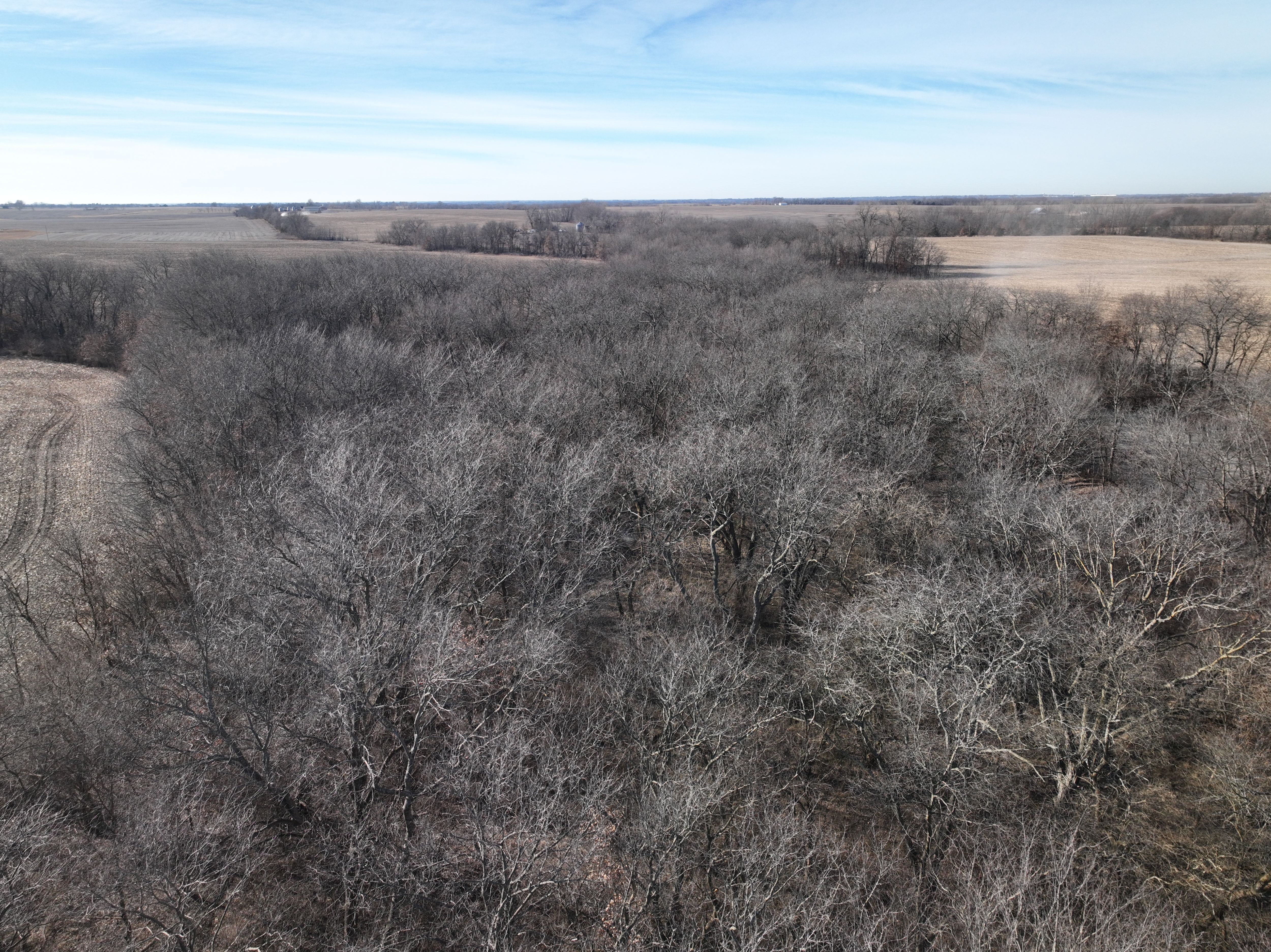 Listing Photo: DJI_0736