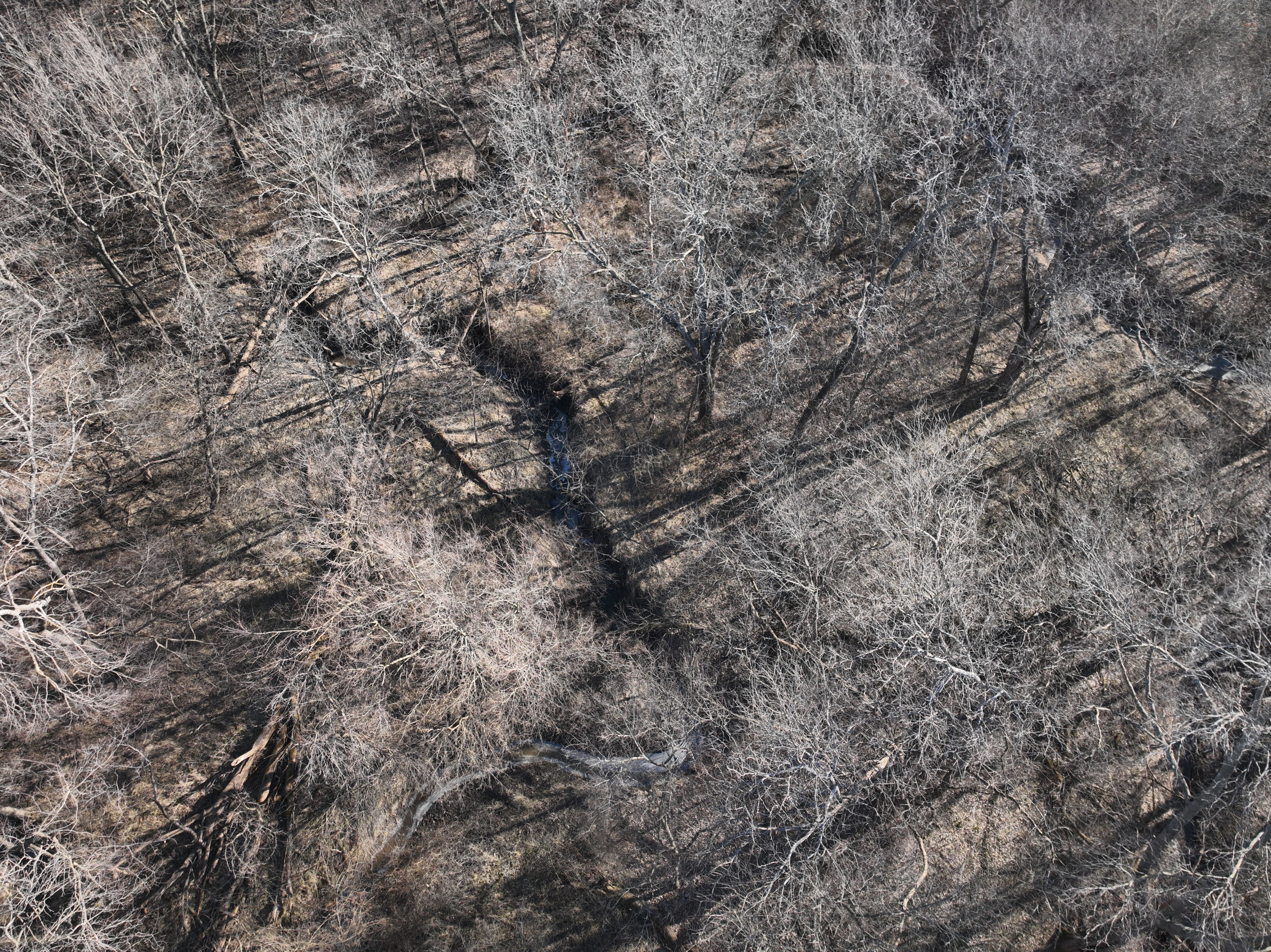 Listing Photo: DJI_0737