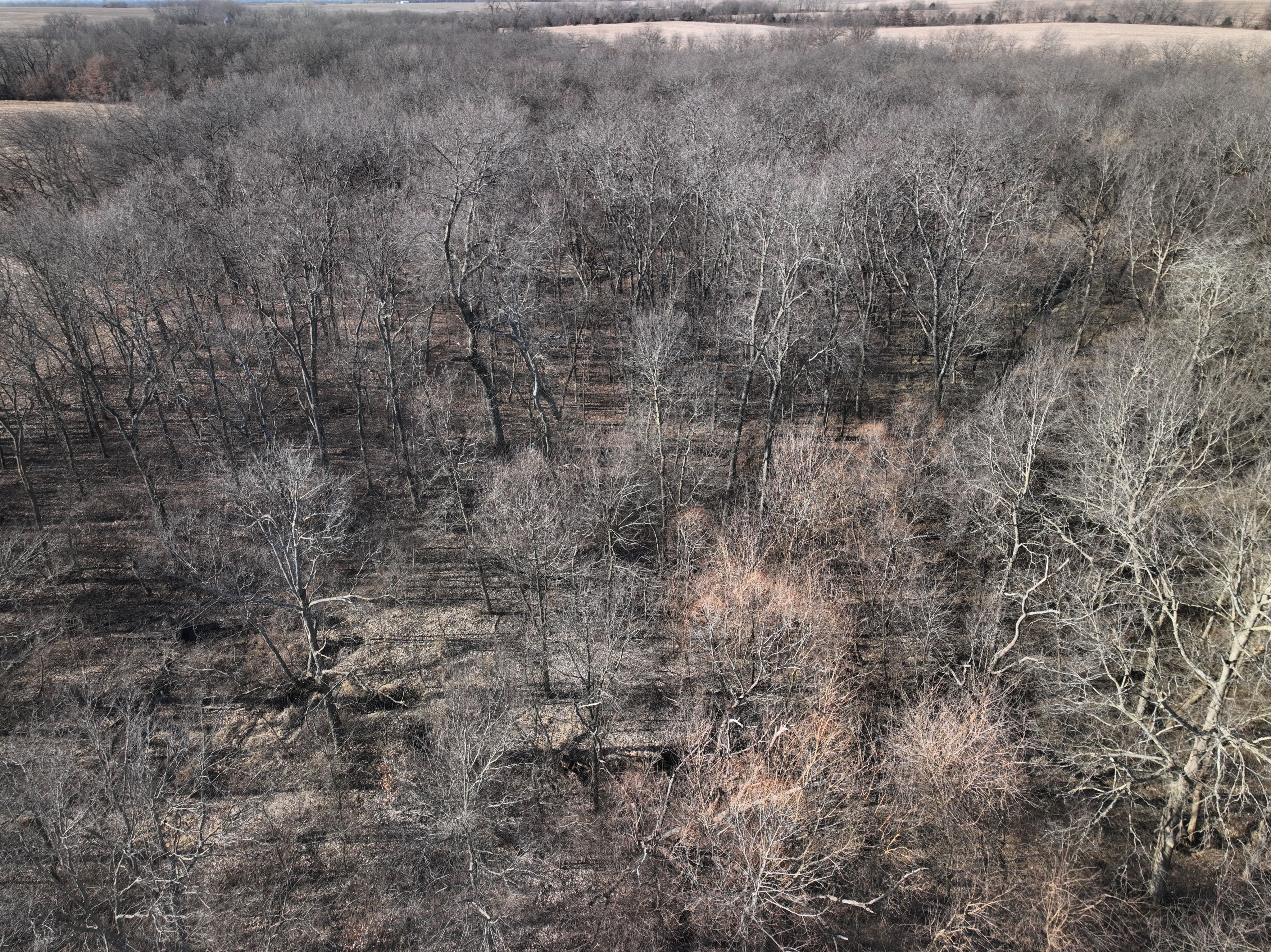 Listing Photo: DJI_0740