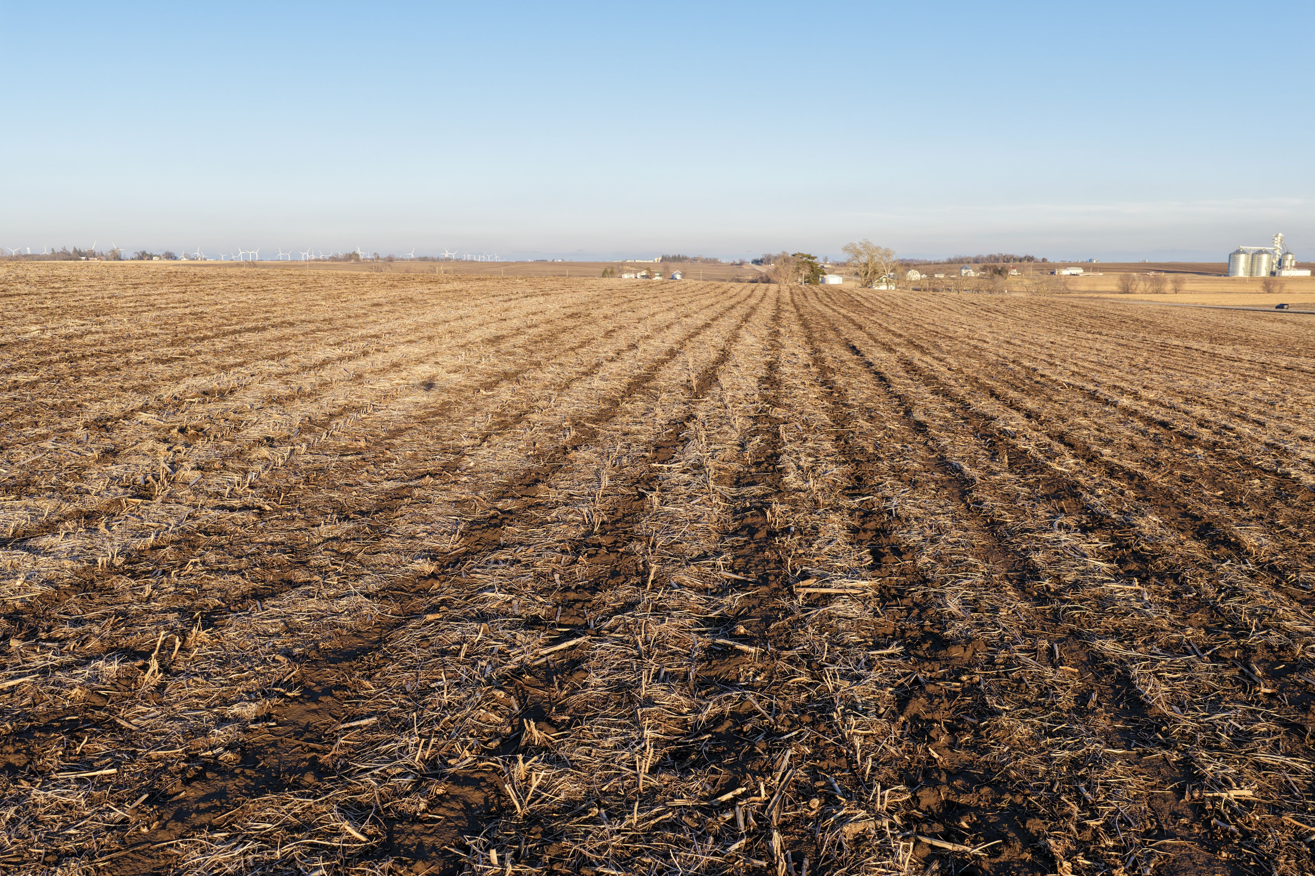 Listing Photo: 7-DJI_20260307173226_0562_D