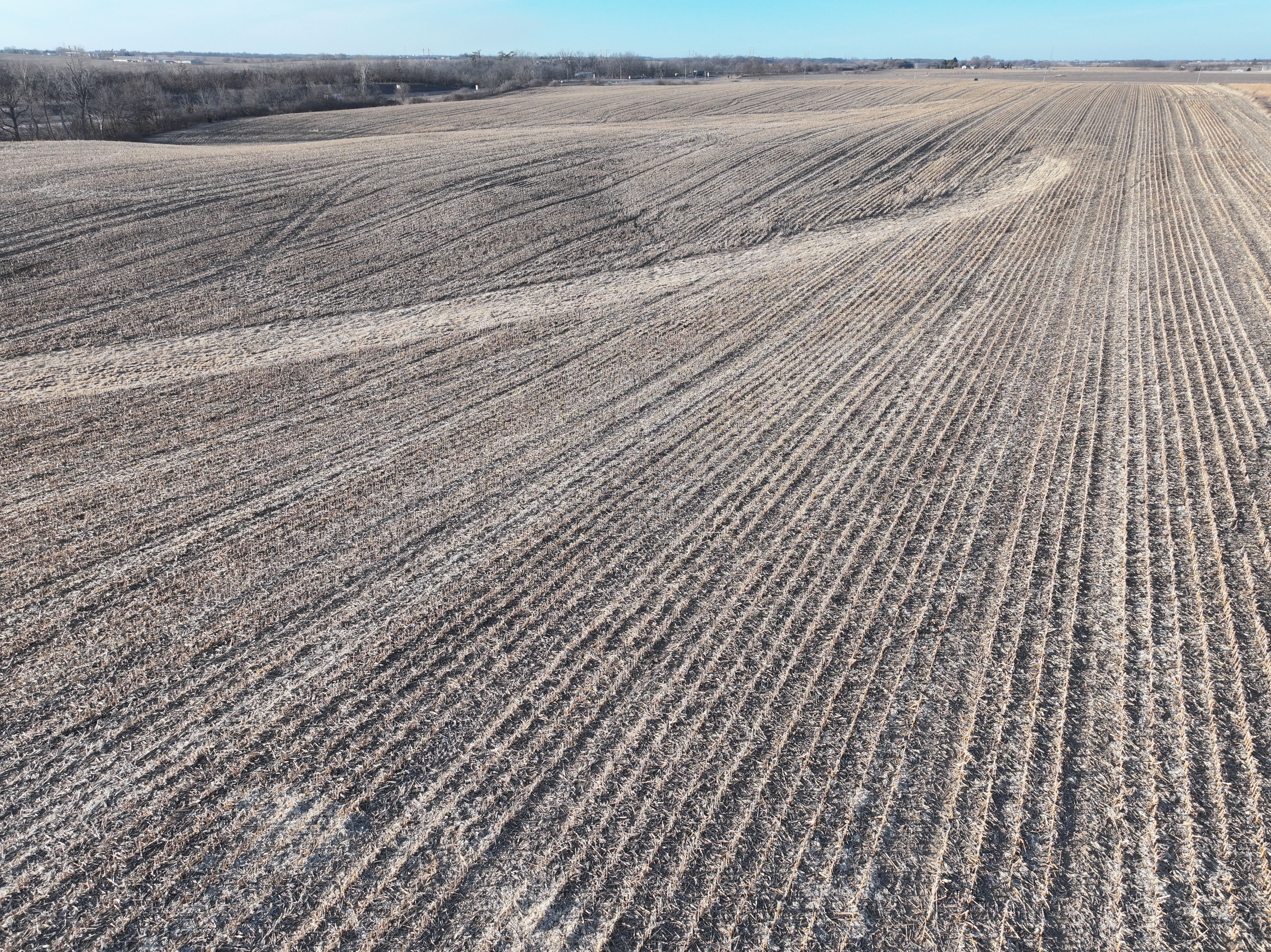 Listing Photo: DJI_20260215163542_0069_D