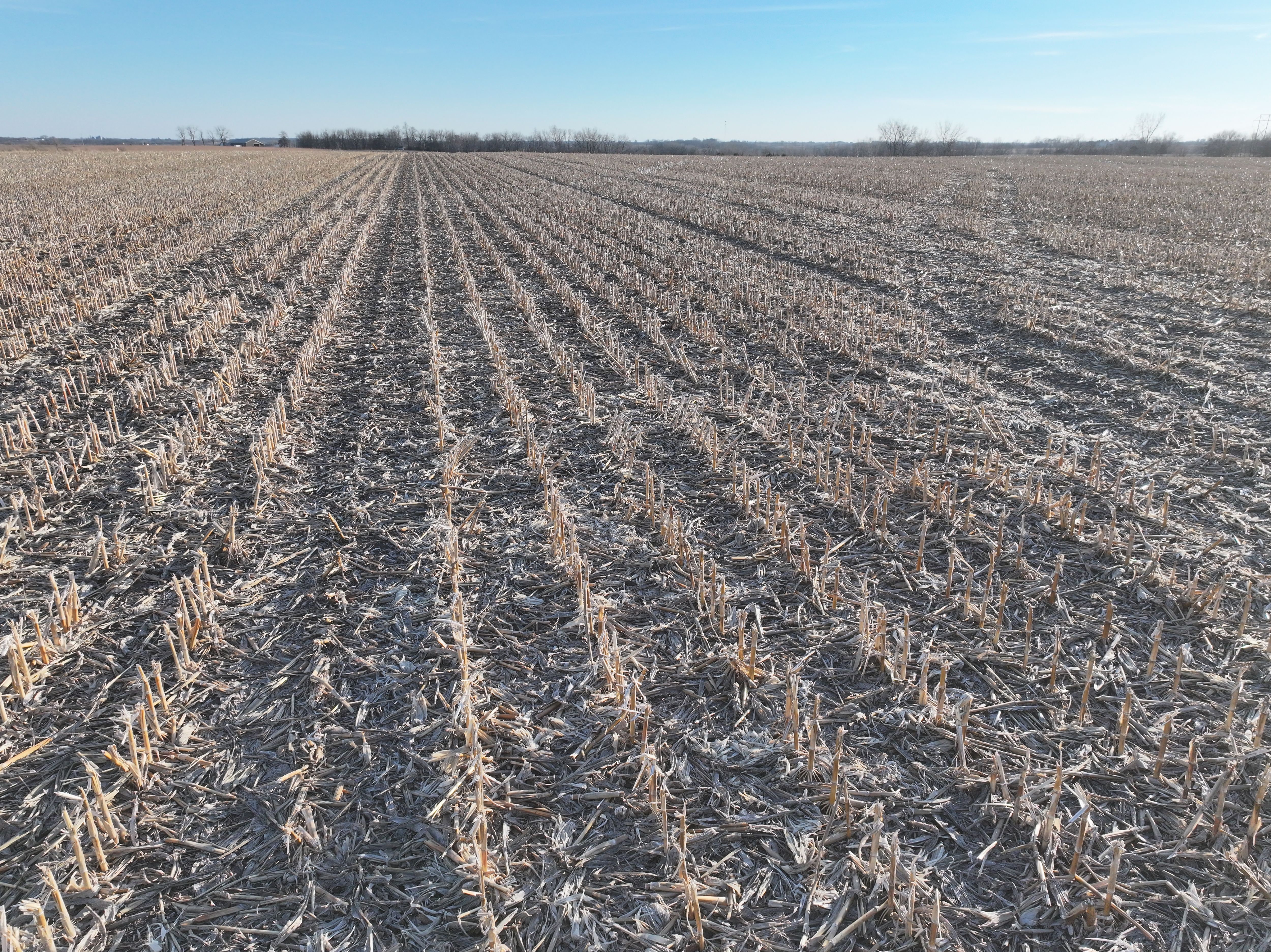 Listing Photo: DJI_20260215163732_0074_D