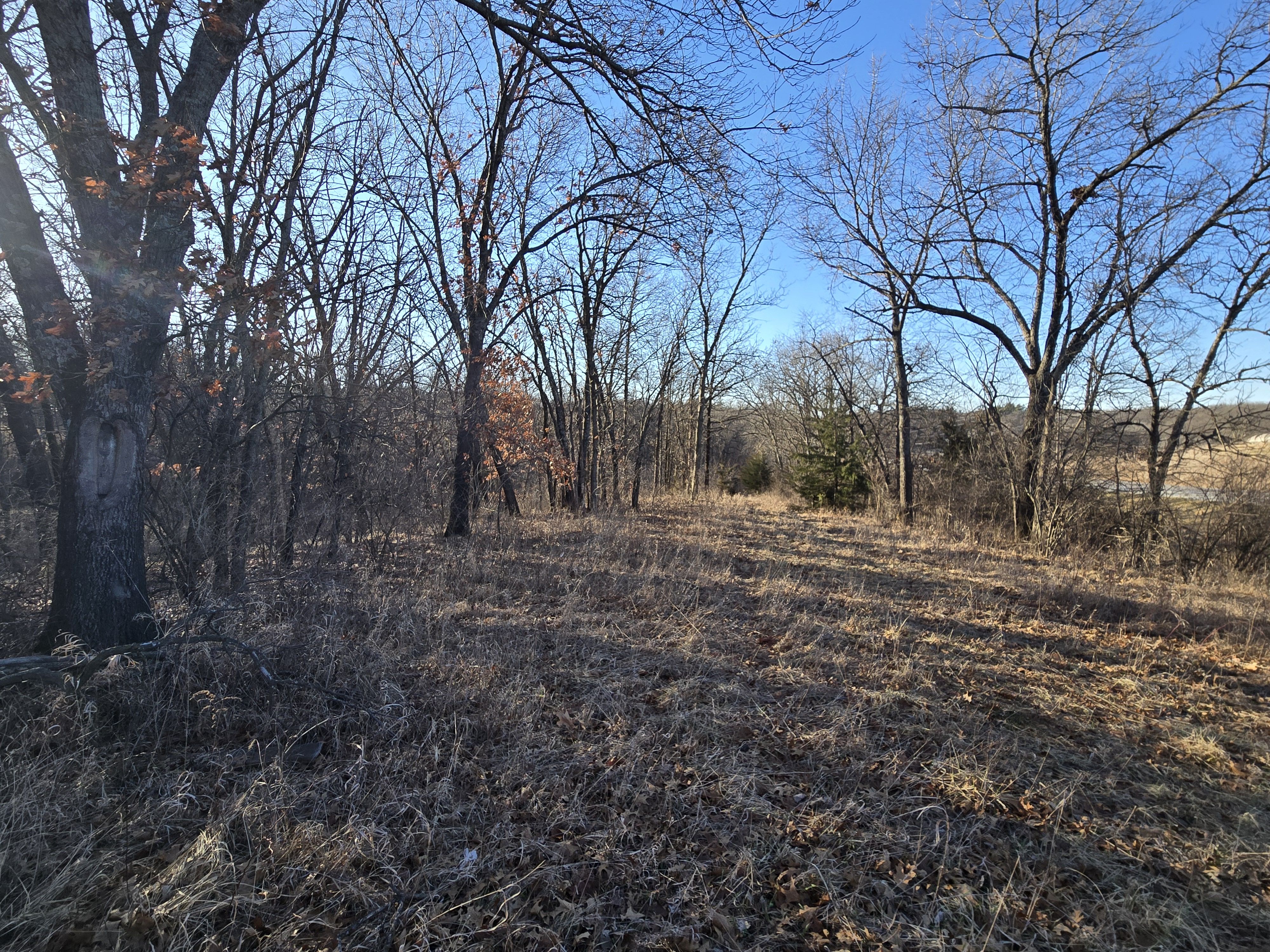 Listing Photo: 20260308_090333