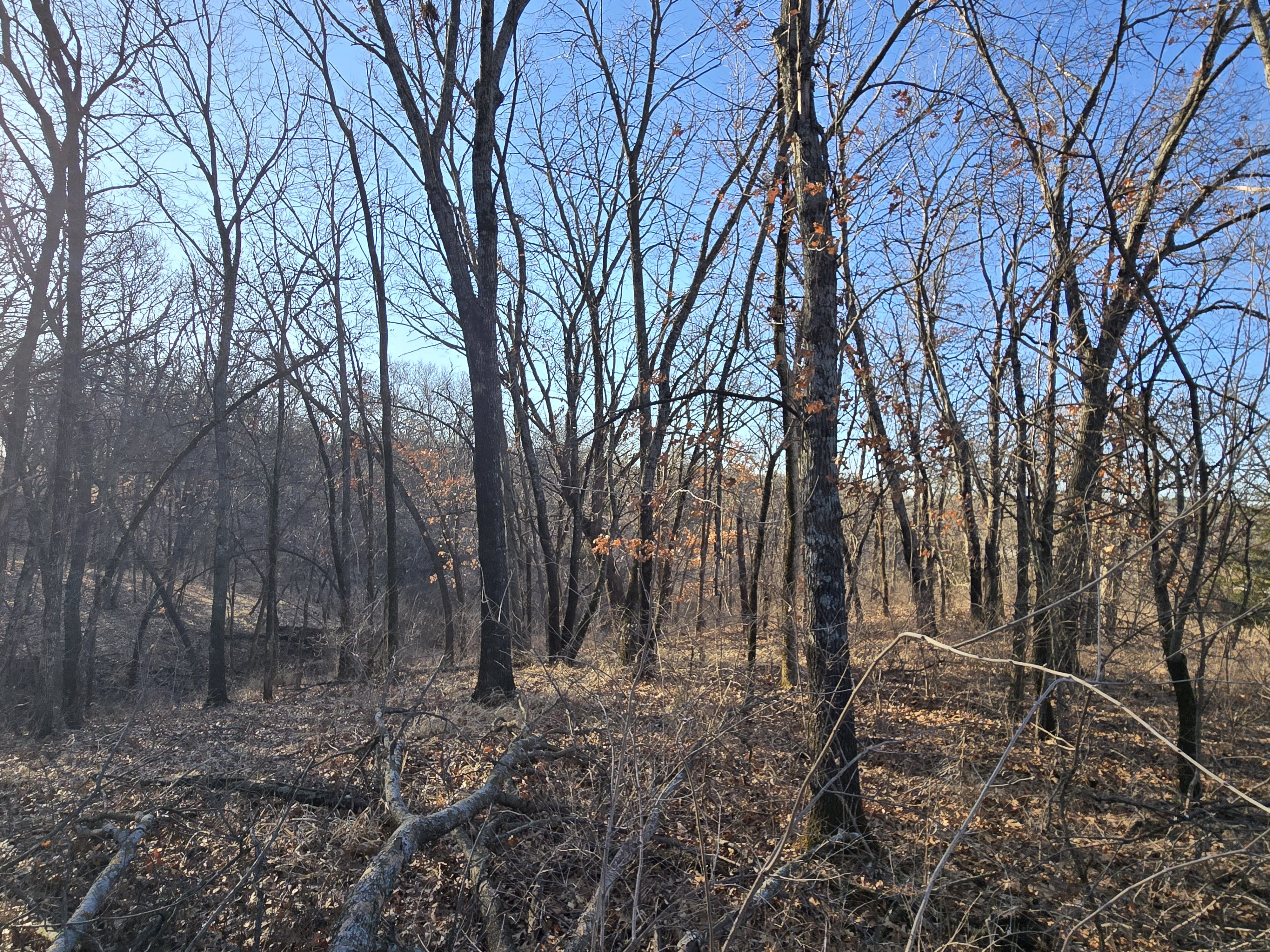 Listing Photo: 20260308_090431