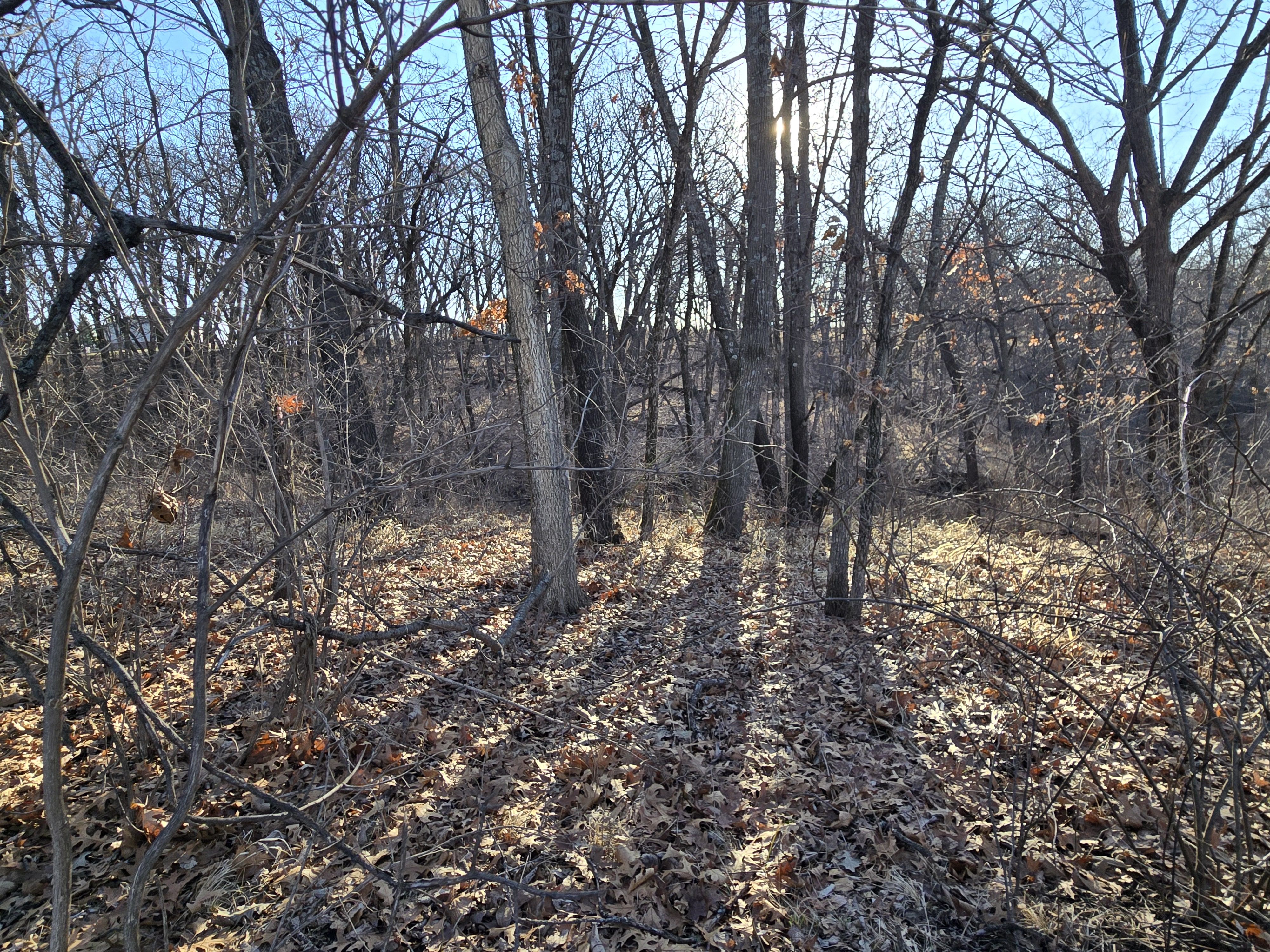 Listing Photo: 20260308_090527