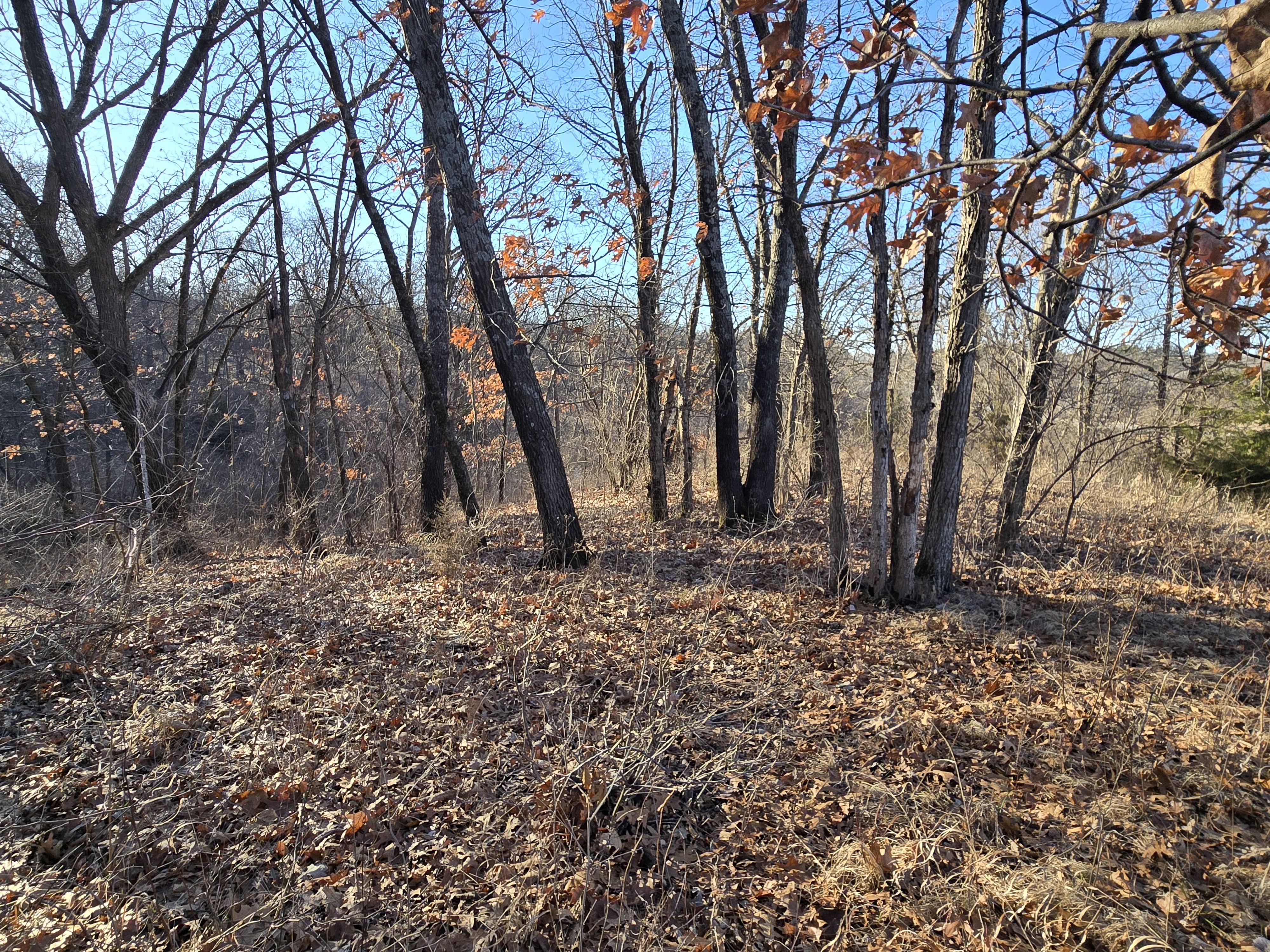 Listing Photo: 20260308_090532