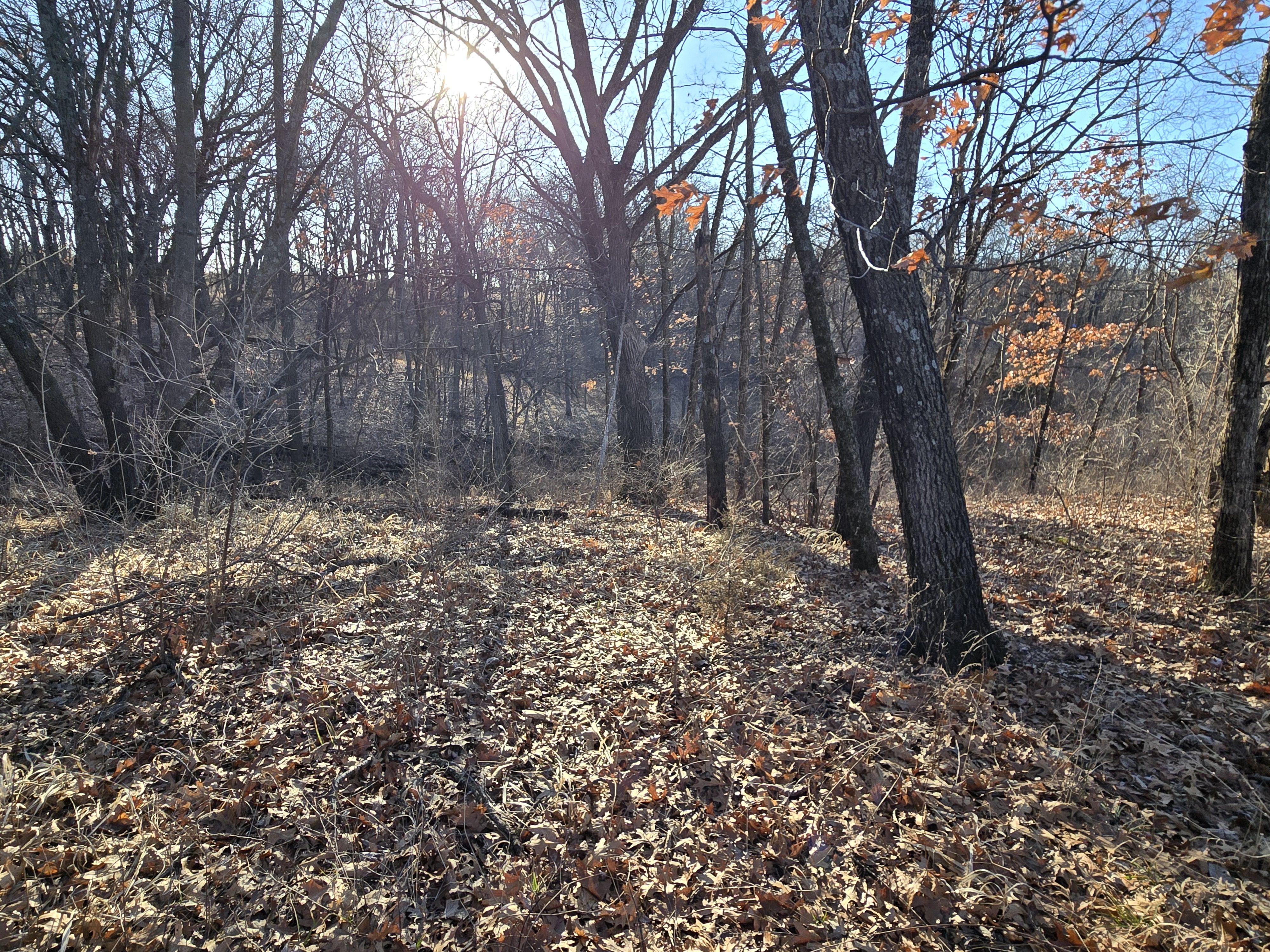 Listing Photo: 20260308_090551