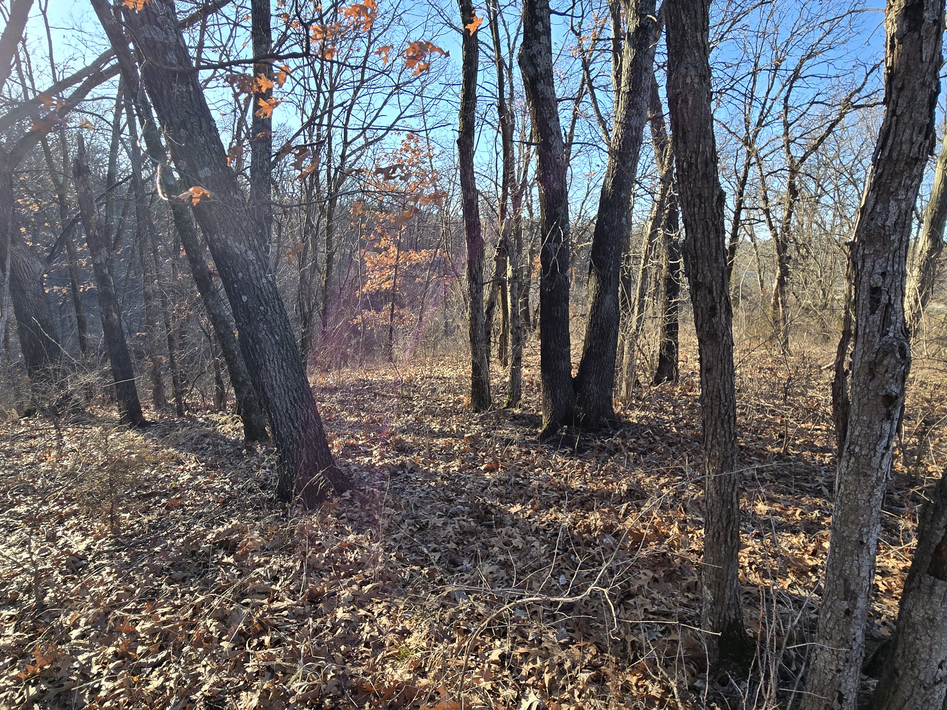 Listing Photo: 20260308_090554