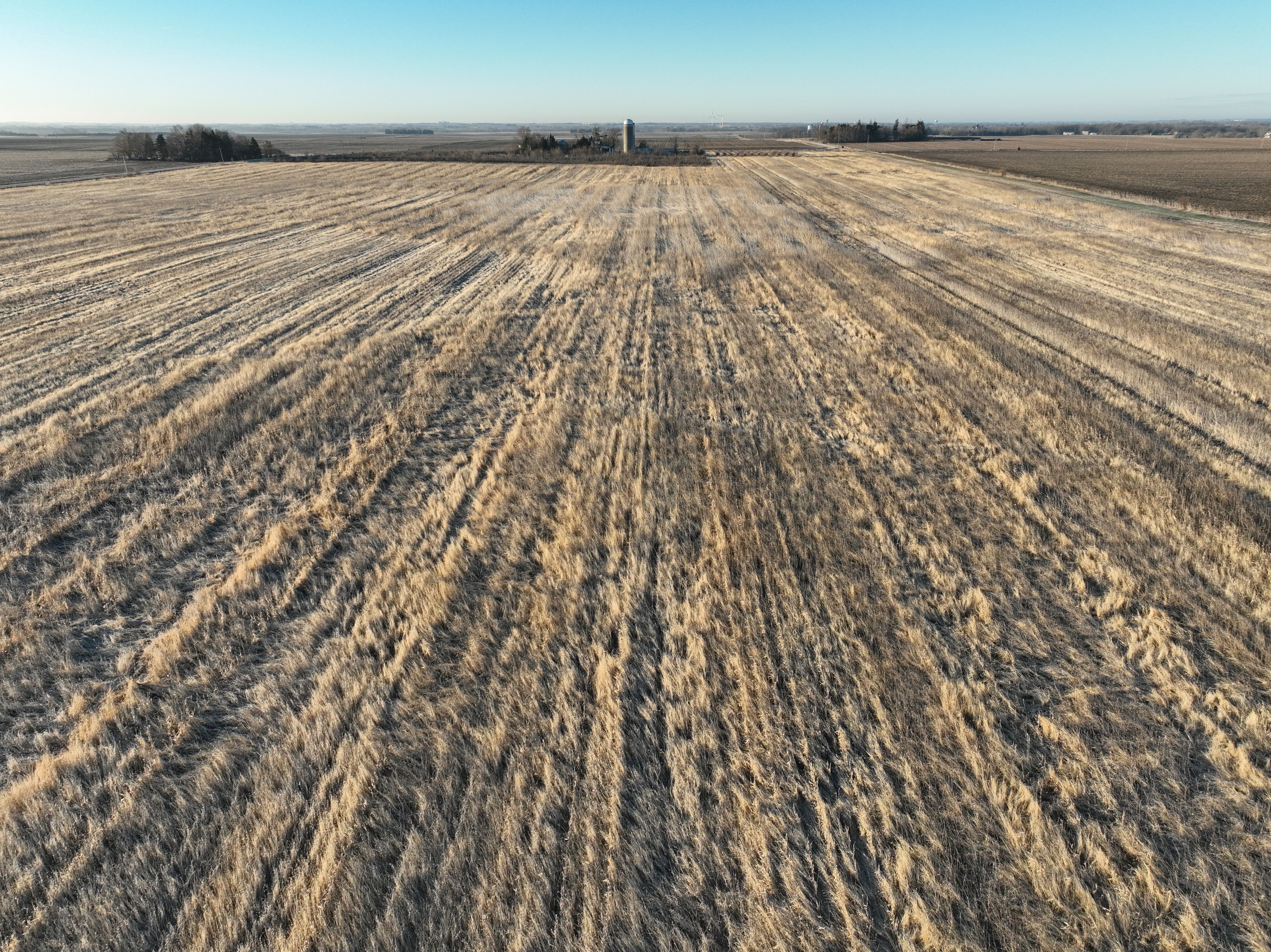 Listing Photo: DJI_0337