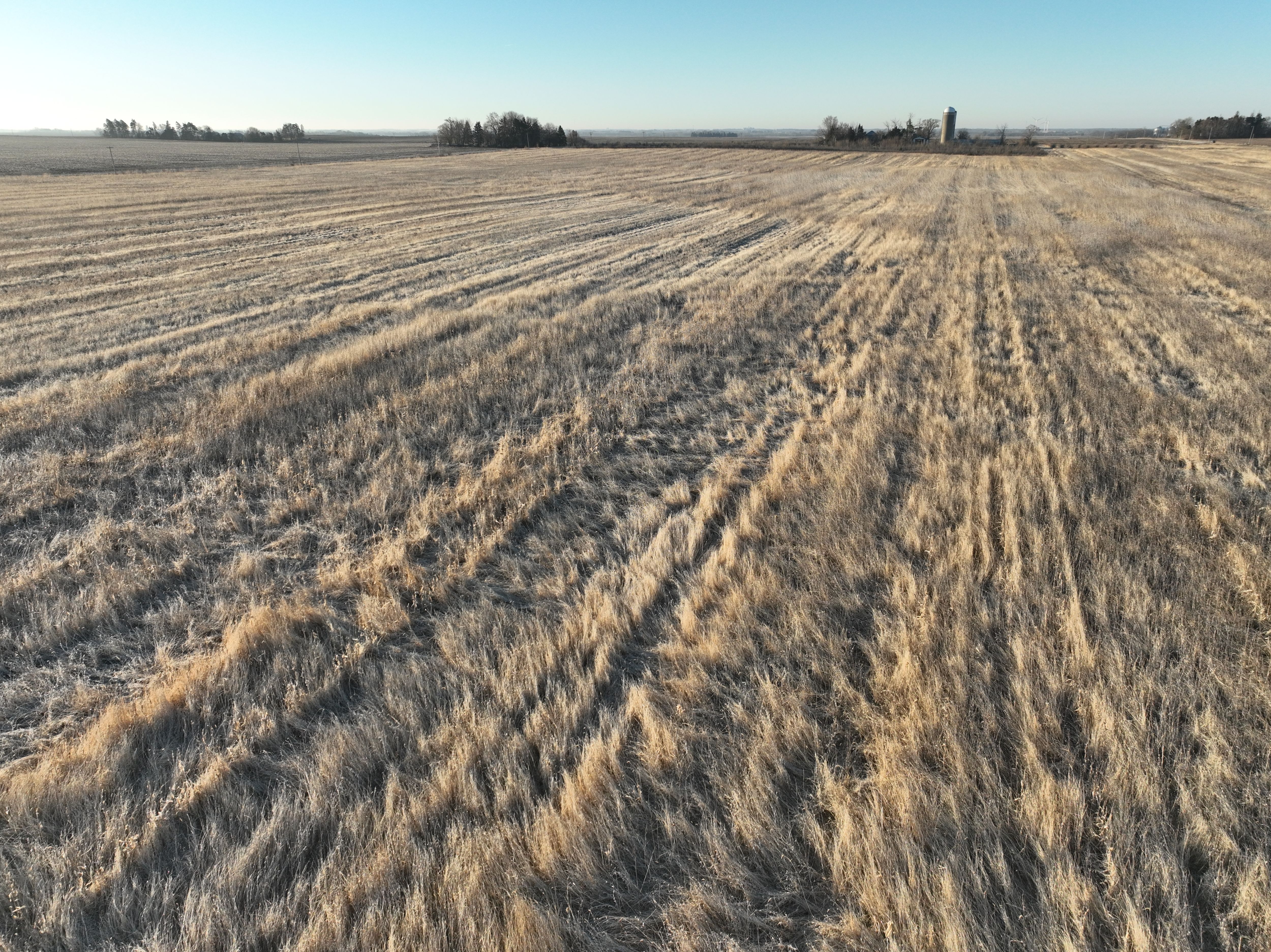 Listing Photo: DJI_0338