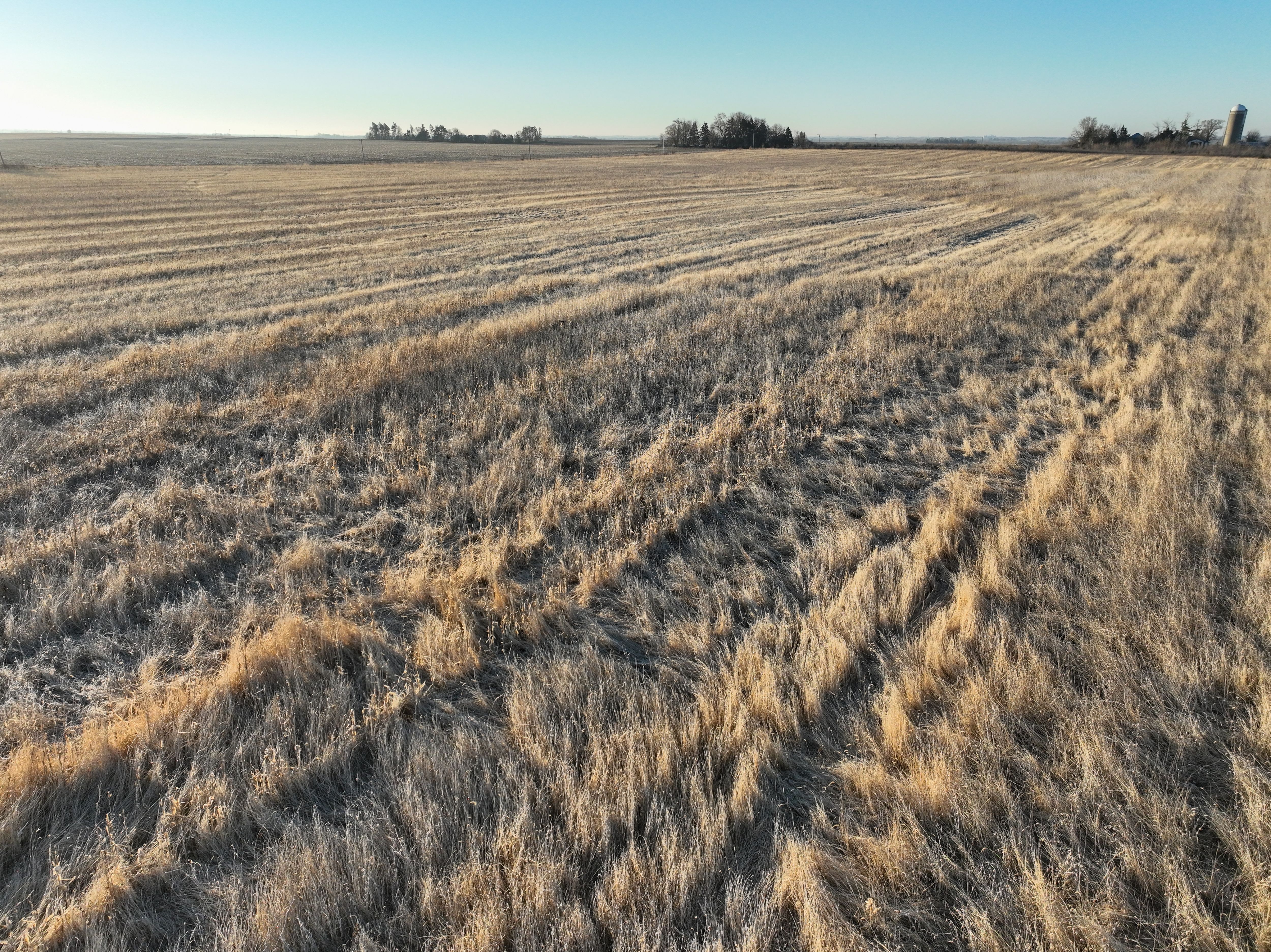 Listing Photo: DJI_0339