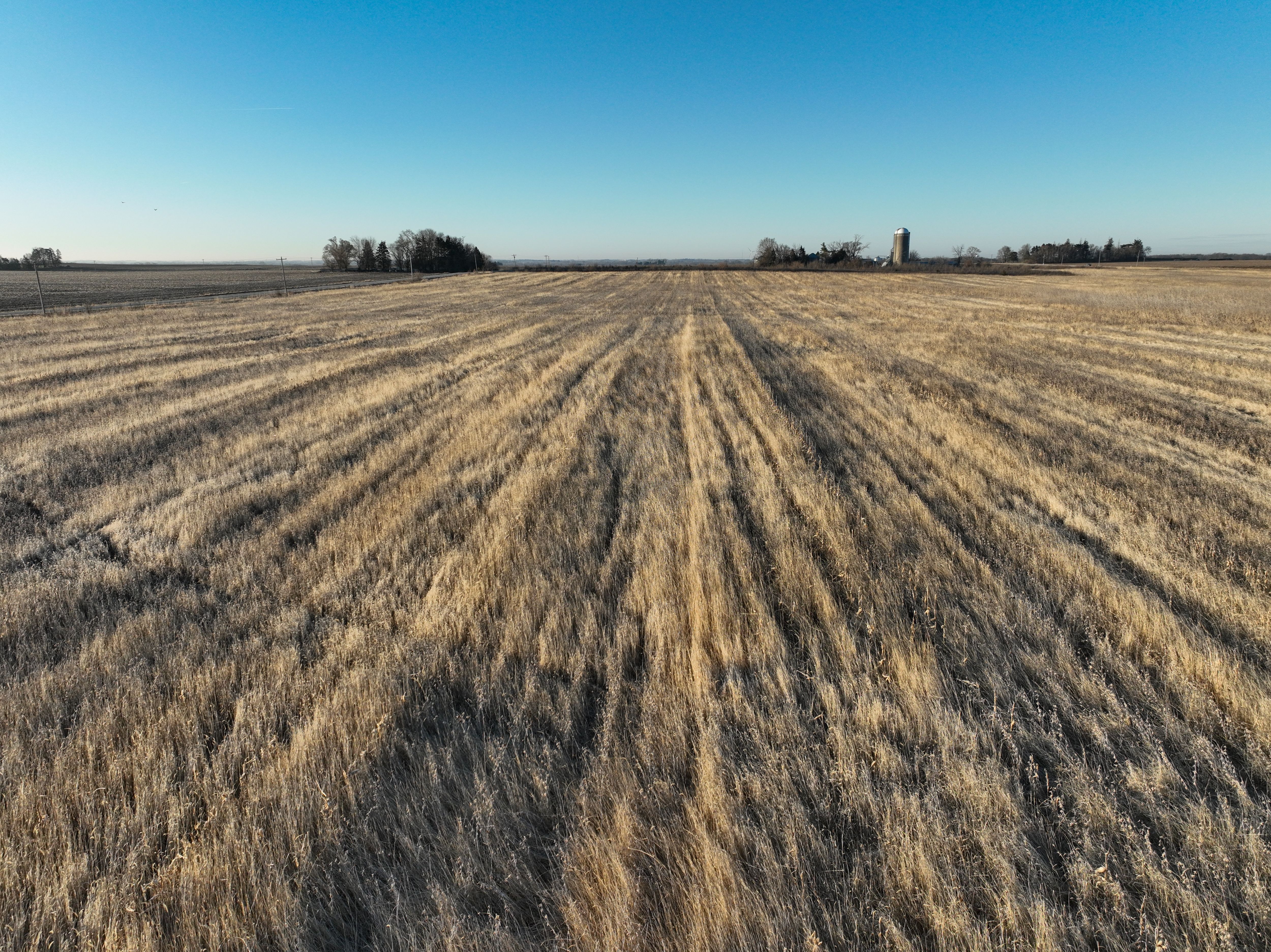 Listing Photo: DJI_0342