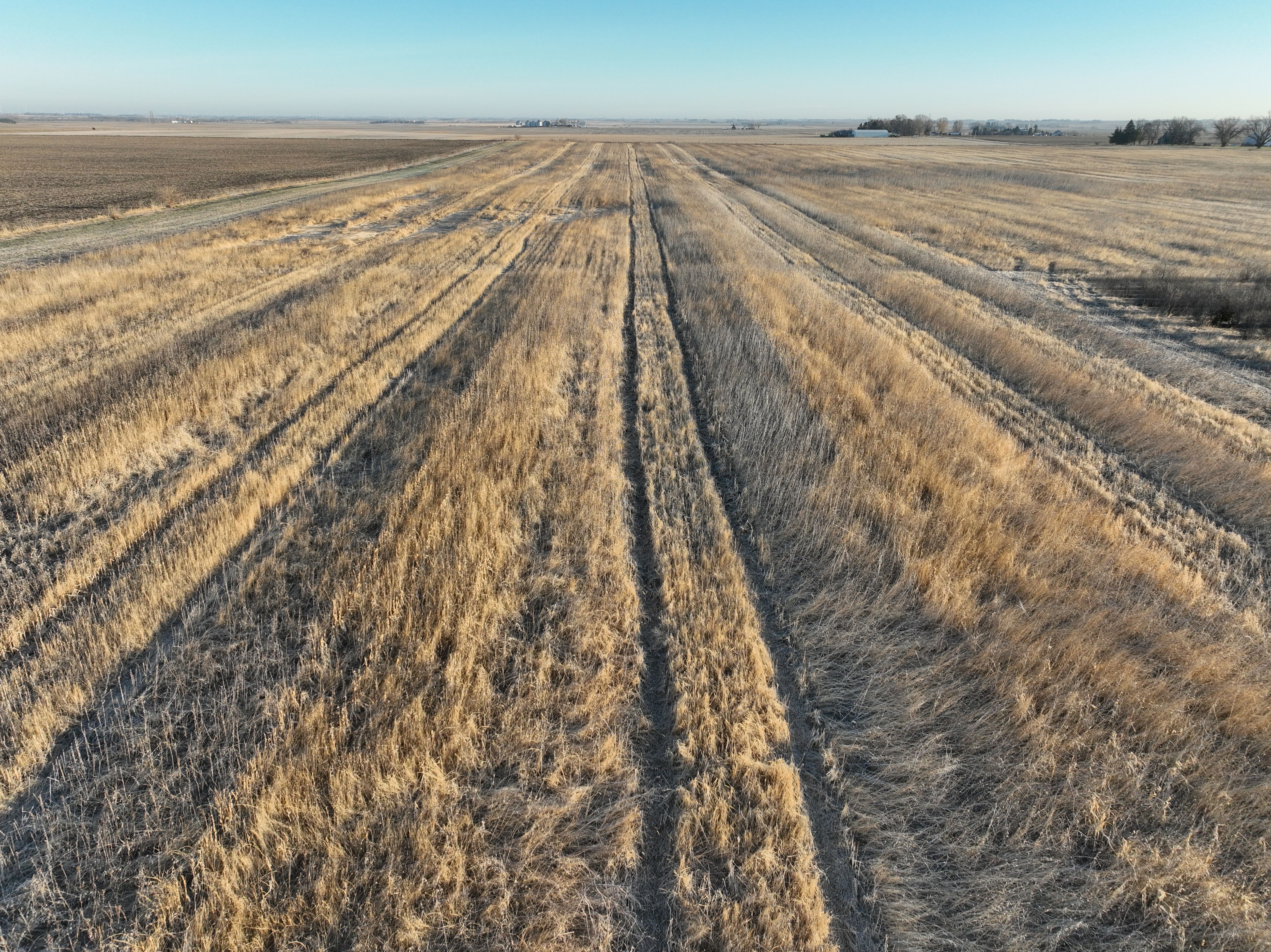 Listing Photo: DJI_0349