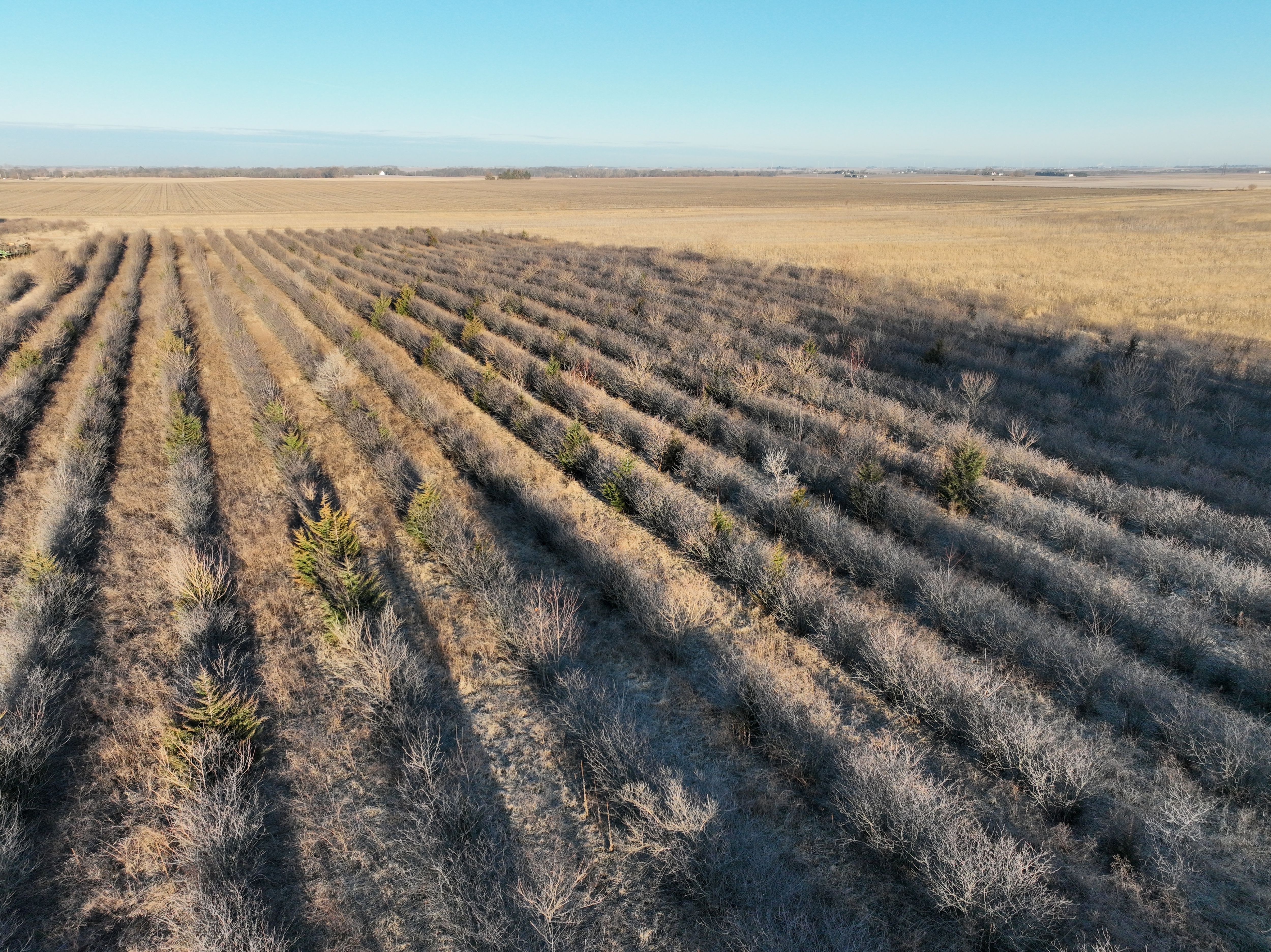 Listing Photo: DJI_0355