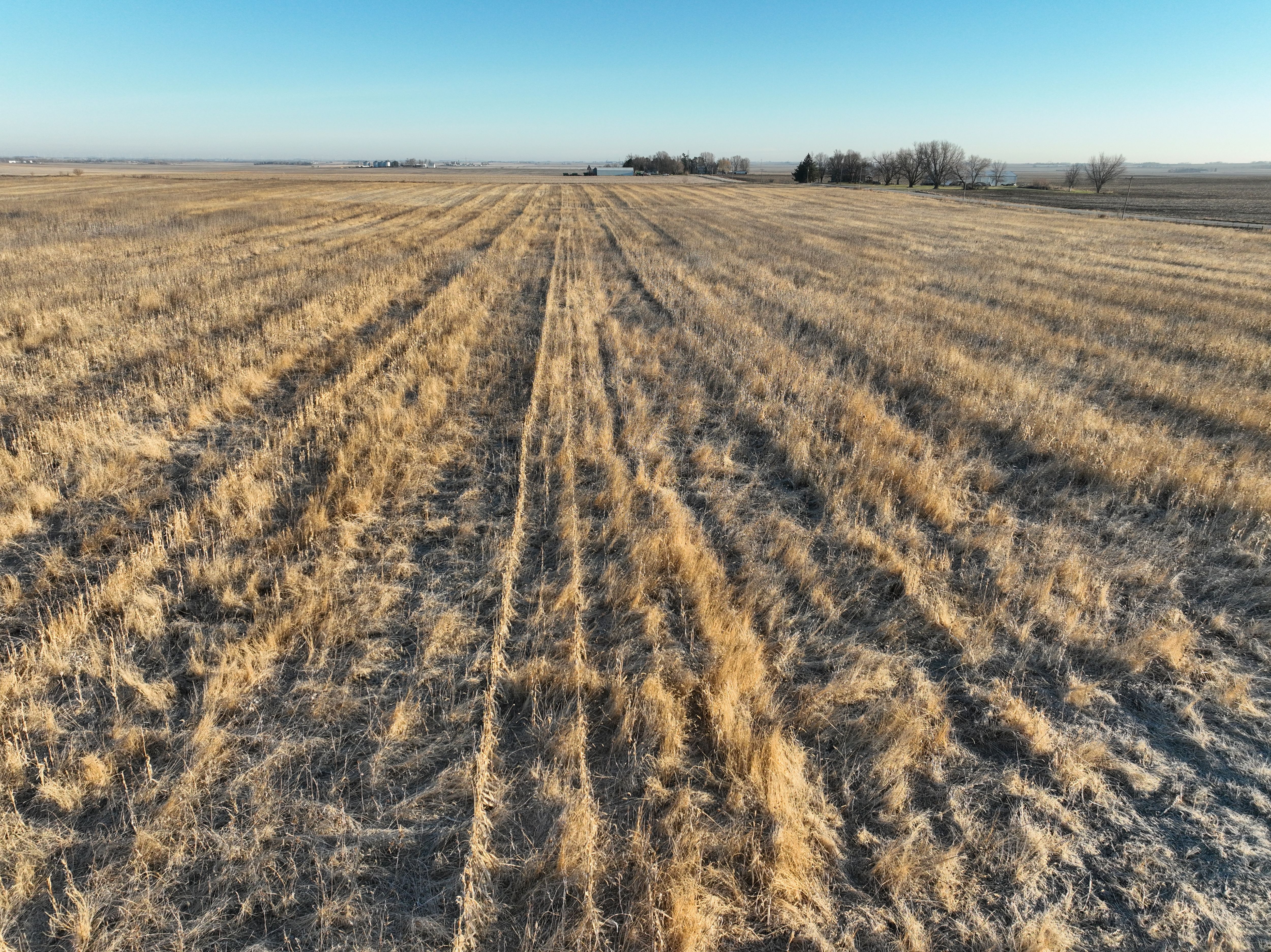 Listing Photo: DJI_0359