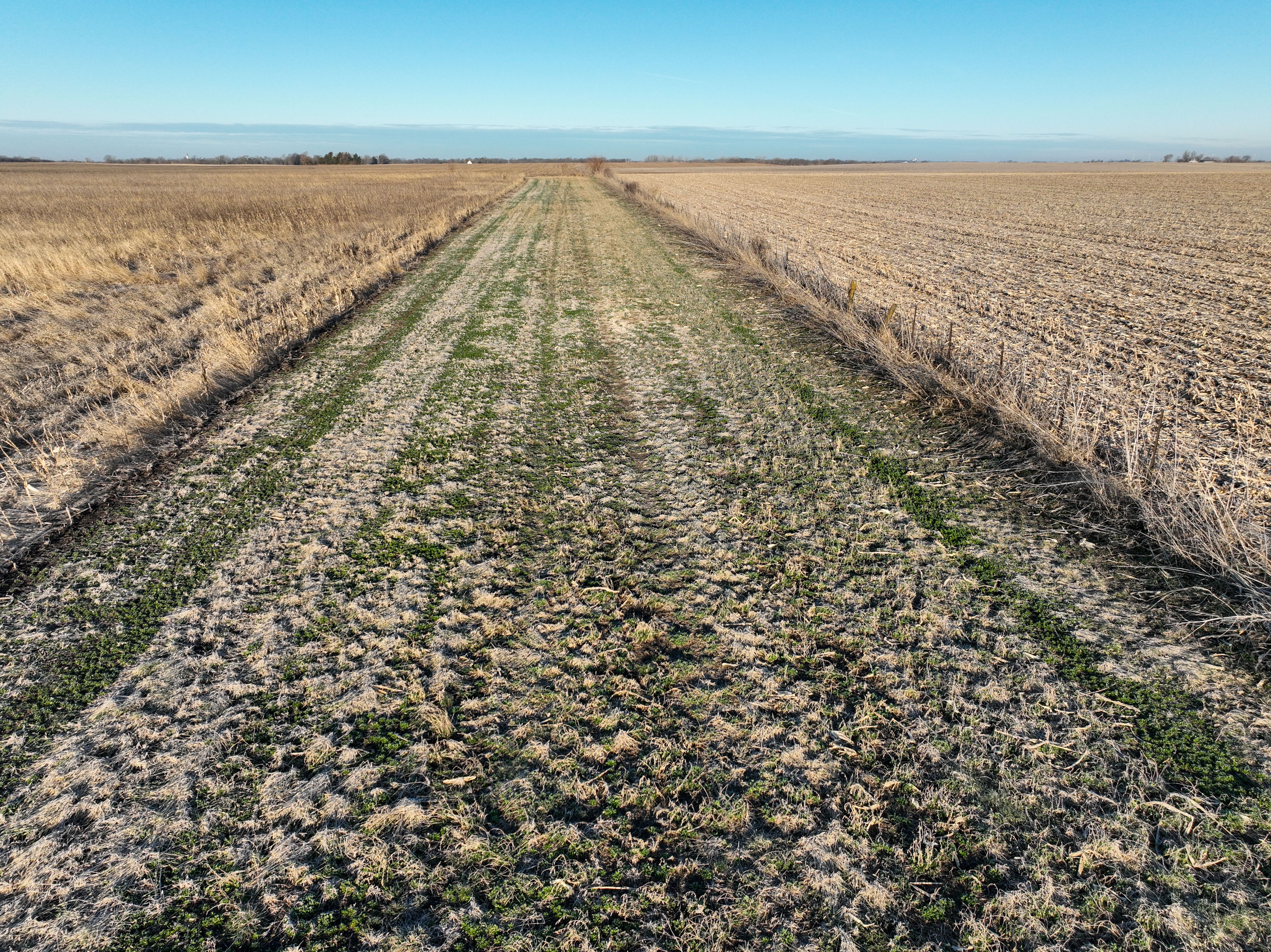 Listing Photo: DJI_0363