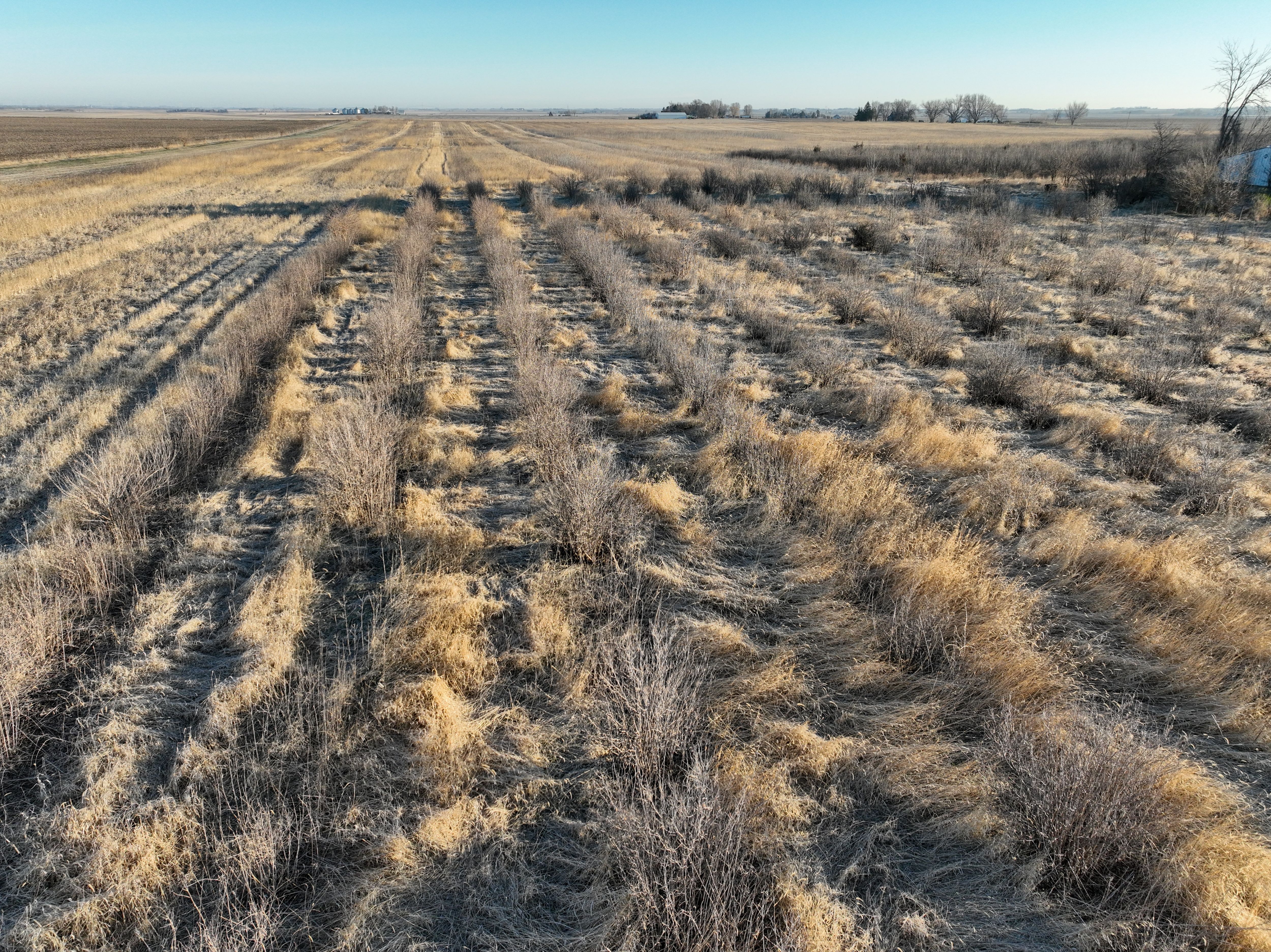 Listing Photo: DJI_0373