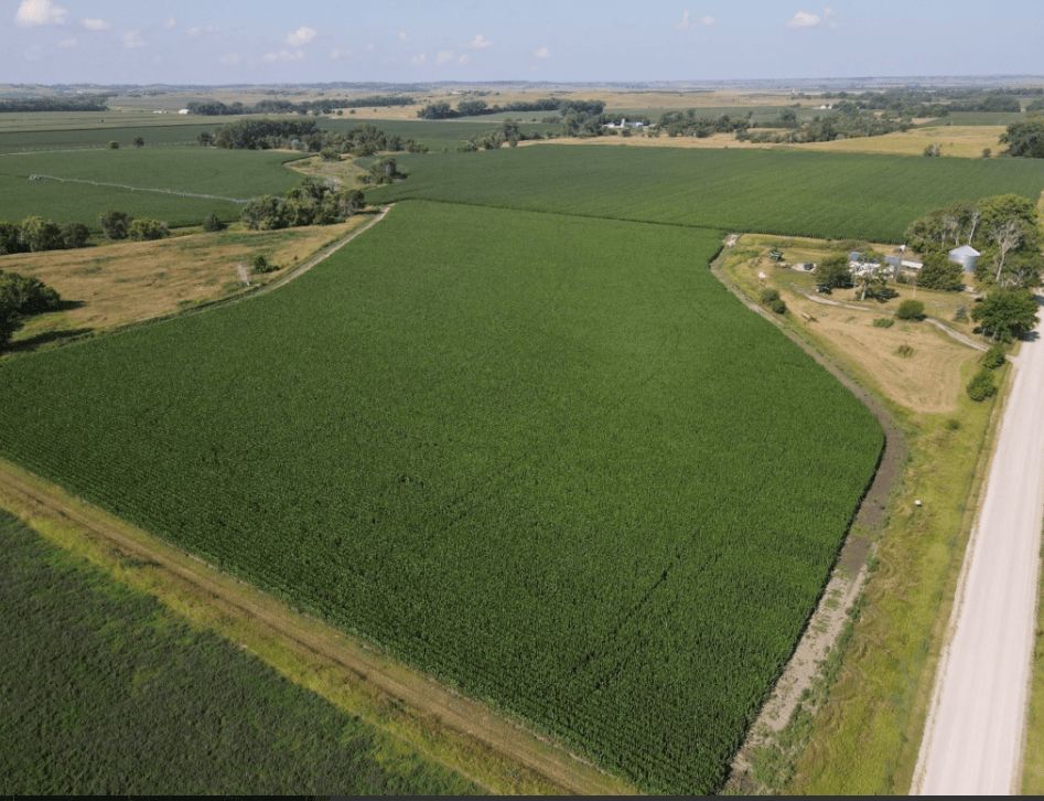 Listing Photo: custer-county-ne-136.85-acres