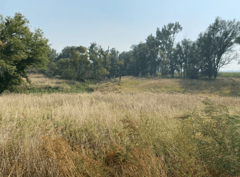 Listing Photo: custer-county-ne-136.85-acres