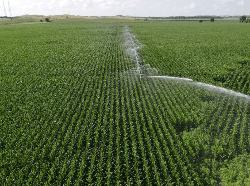 Listing Photo: custer-county-ne-136.85-acres