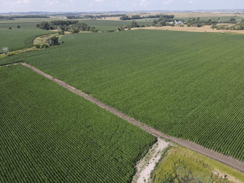 Listing Photo: custer-county-ne-136.85-acres